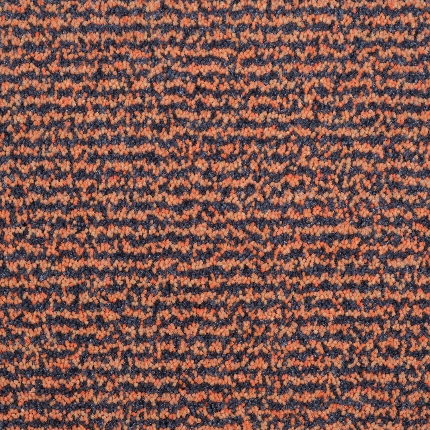 2620-230_1.jpg