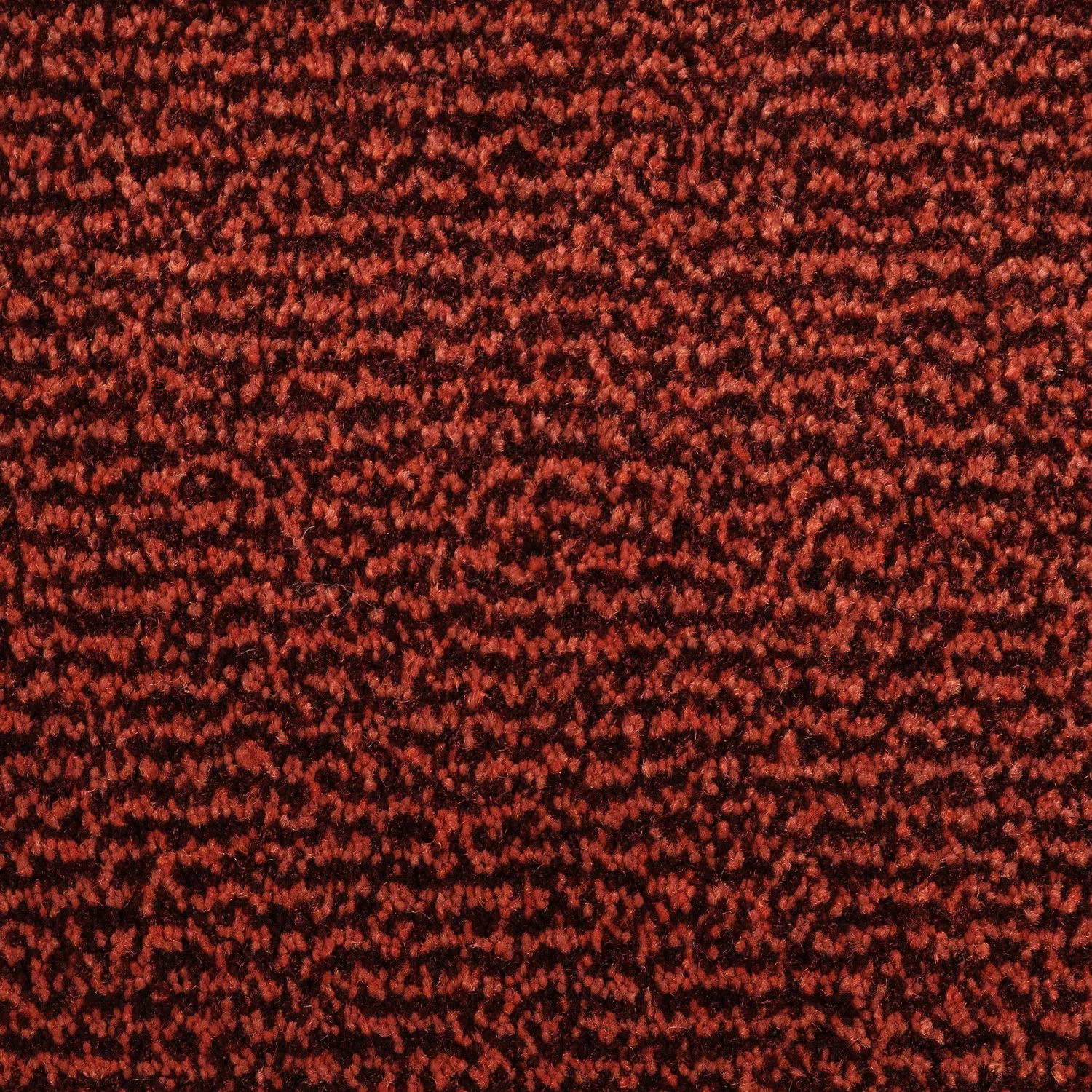 2620-270_1.jpg