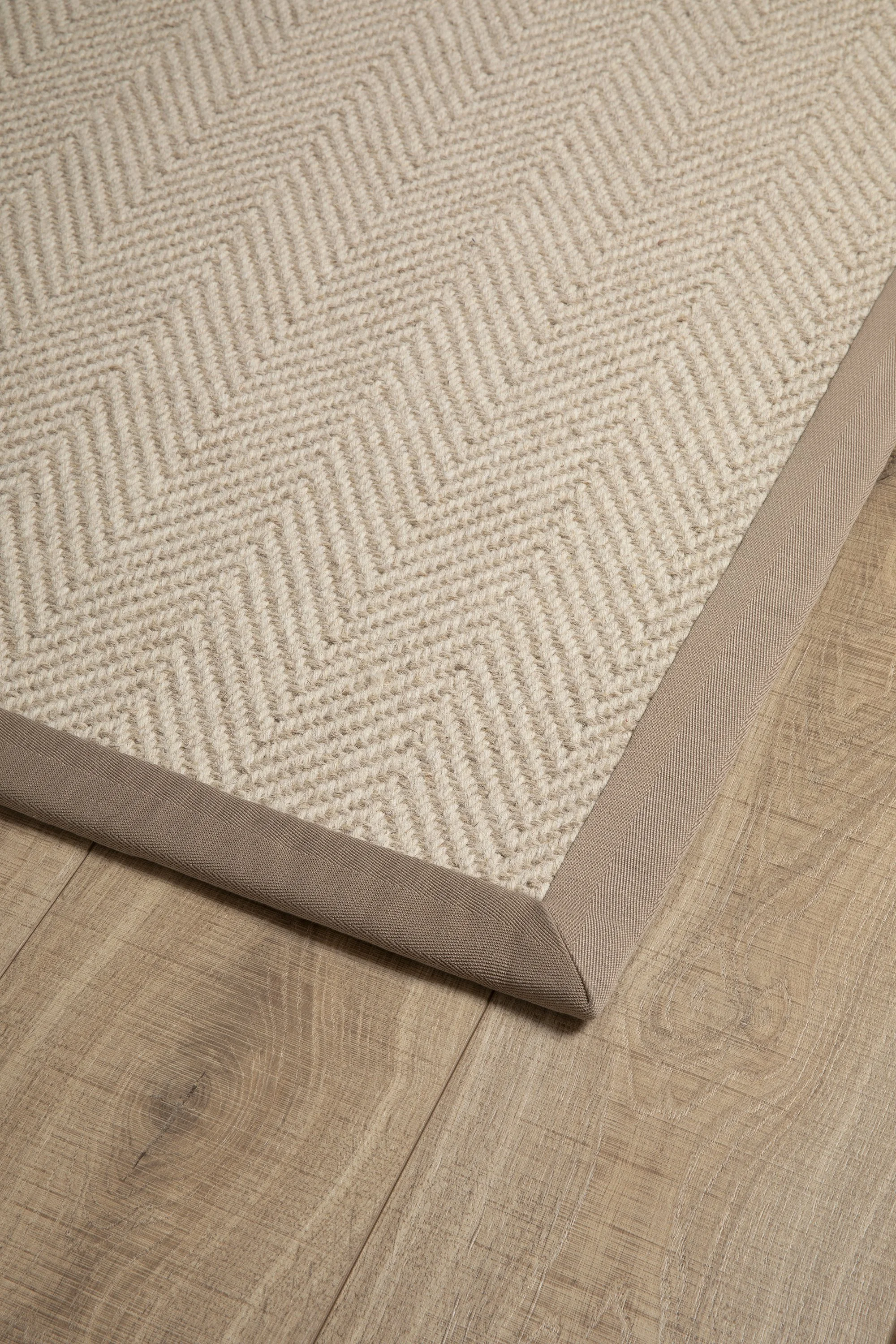 Ziggy Three with 102 statement border by Hibiscus PR1.jpg