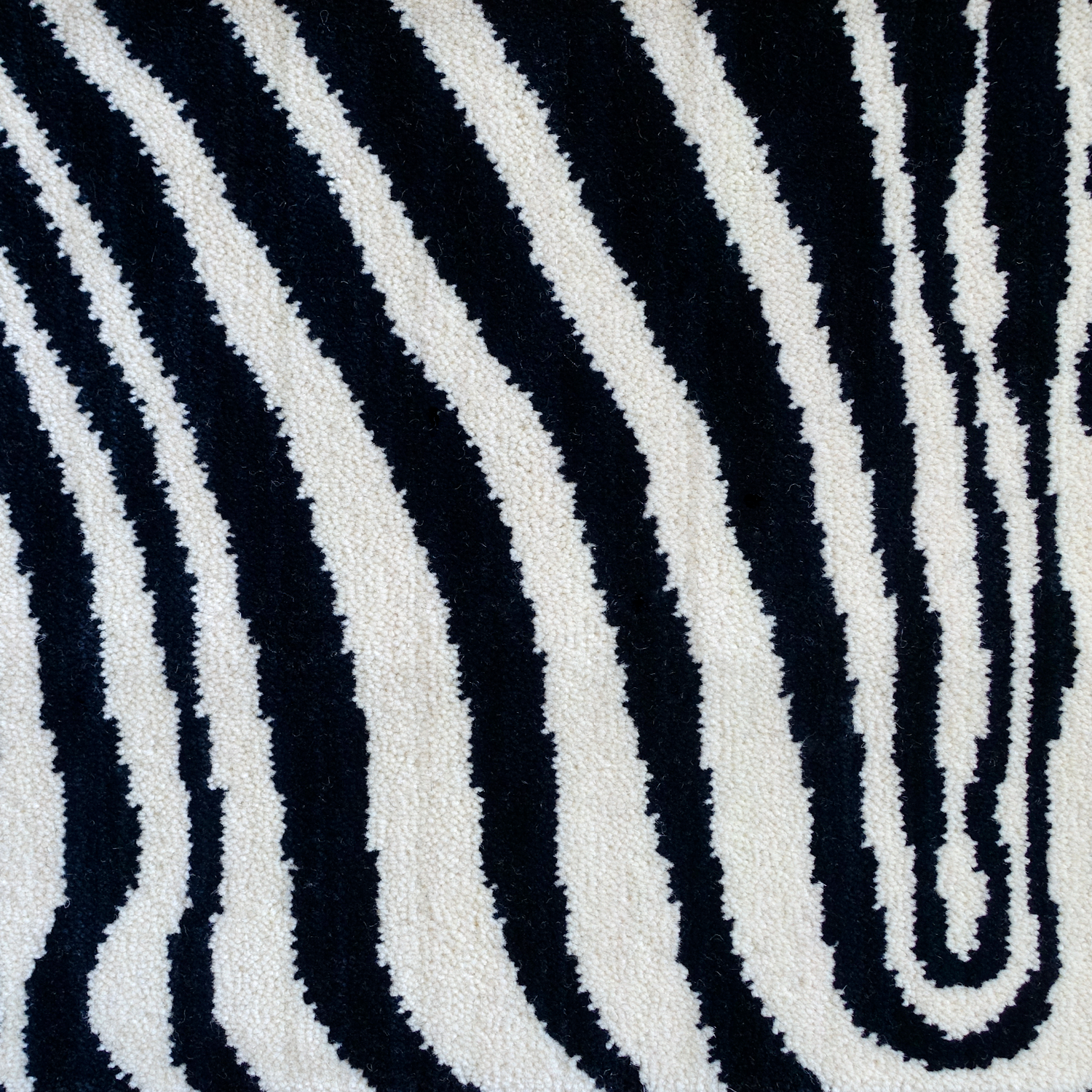 Zebre_Axmisnter.png