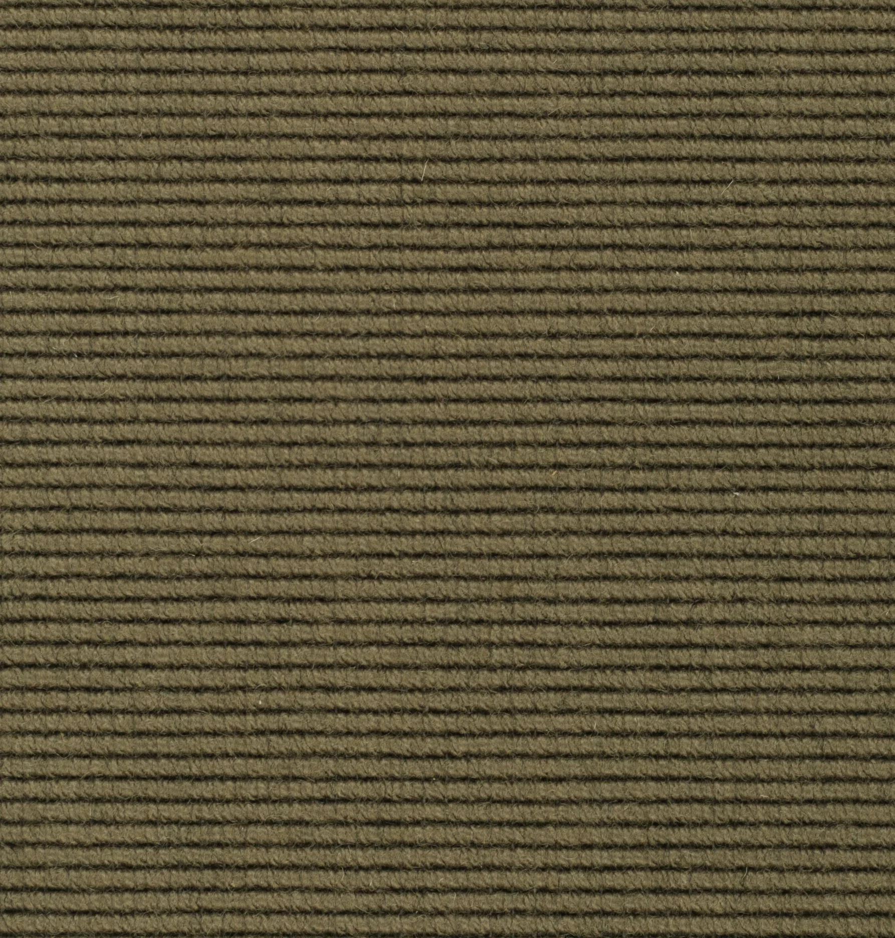 1401-450.webp