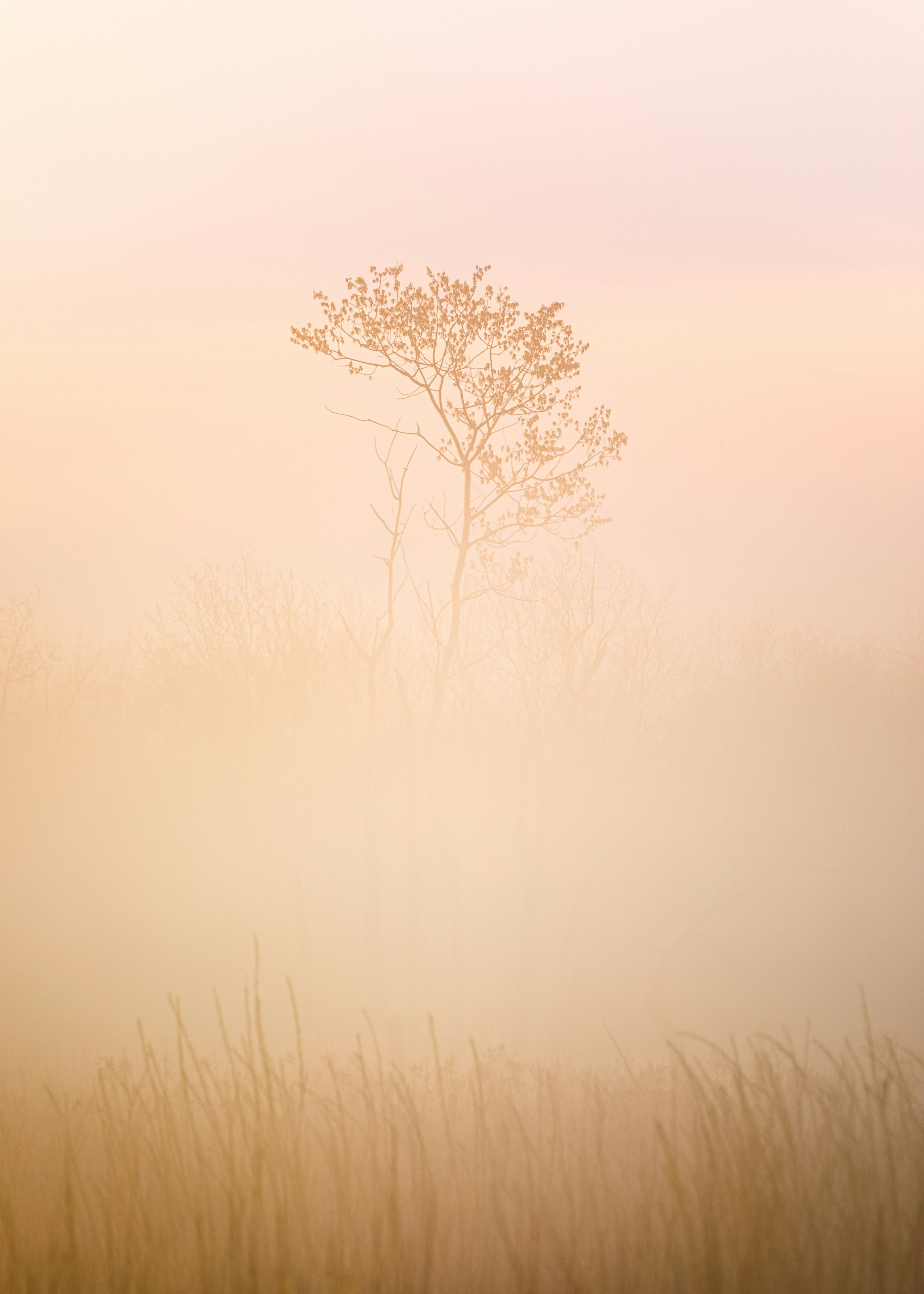 HOLDING THE THRESHOLD: On Death Ideation, Therapeutic Panic, and the Space Between 