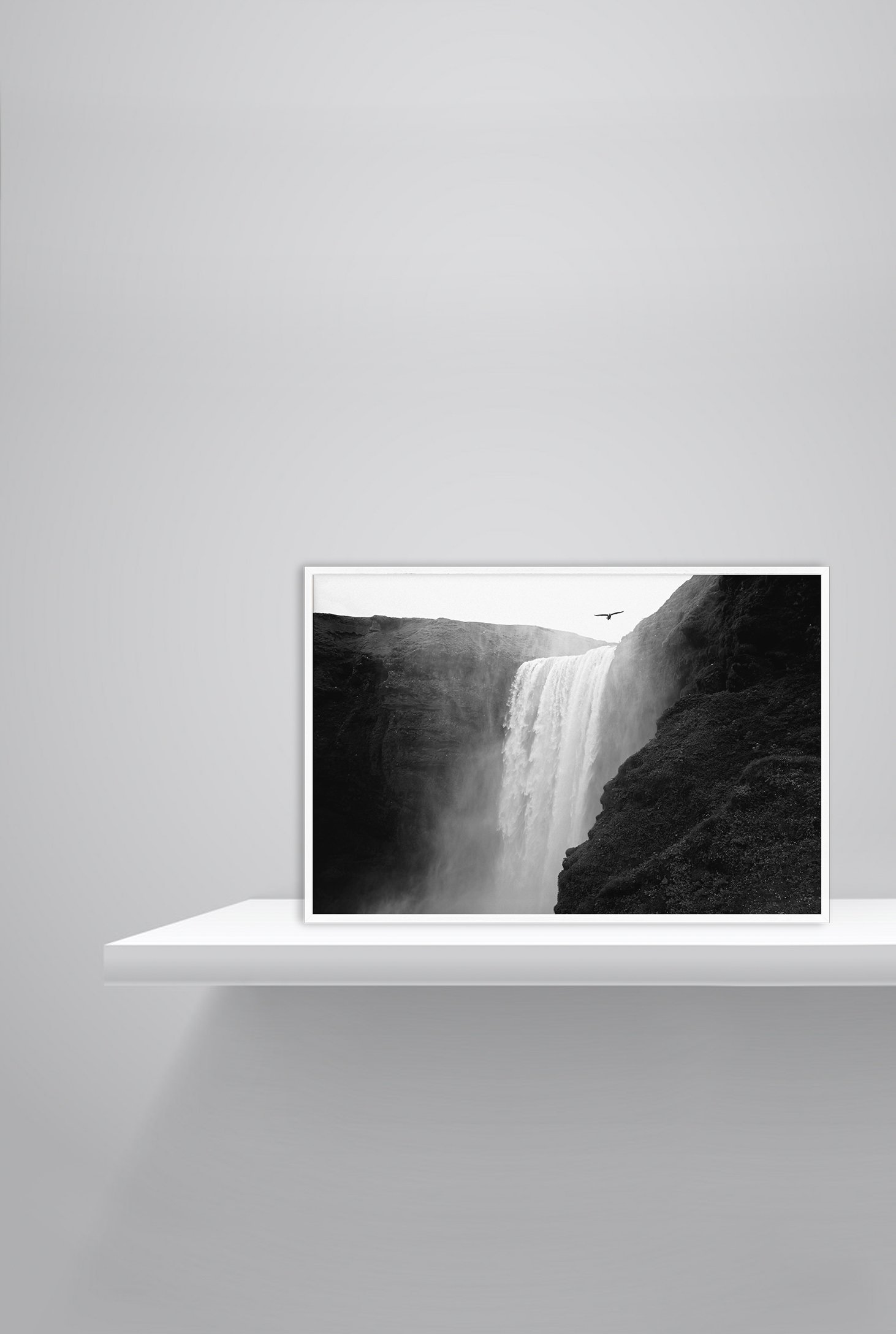 Waterfall bird.jpg