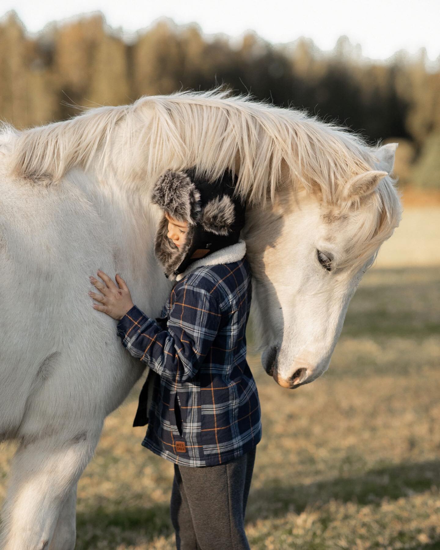 A very special home shoot on a frosty morning. Although I mostly do my photo sessions along the coast in nature, I do offer at-home shoots for those who prefer the sentimentality of their own space. (If you have an animal rescue property like these t