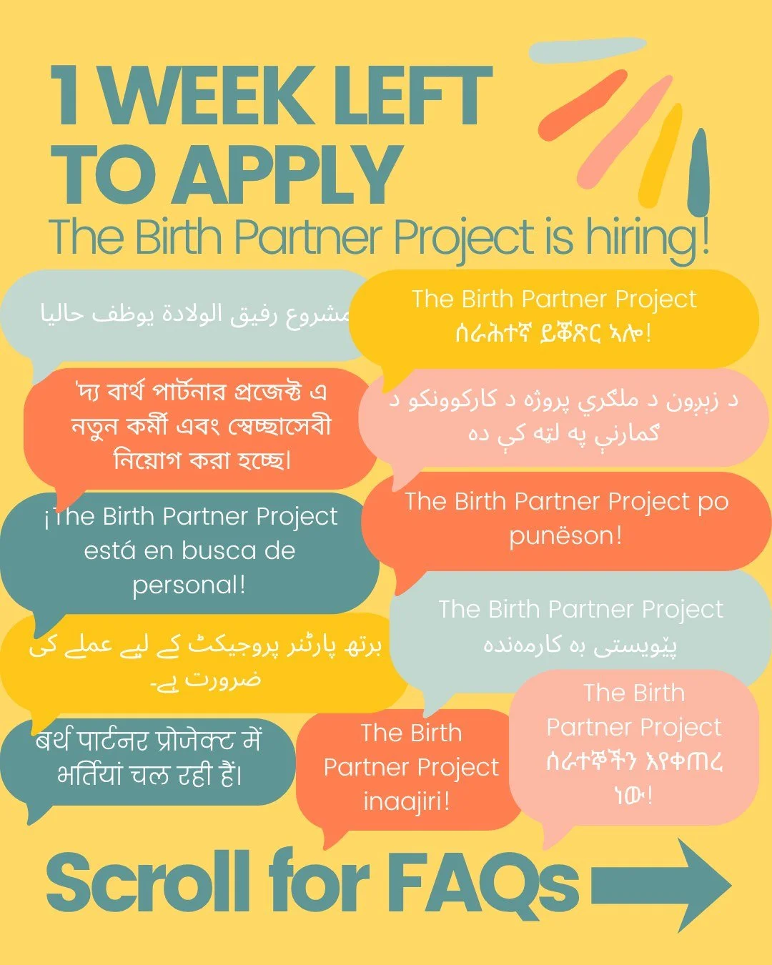 Deadline to apply is Monday 26th October at 11:59pm!

Have a read of our FAQs in this post and the Application Packs and Guidance on our website's vacancies page *link in bio*

If you have any questions you can drop us a line on info@birthpartnerproj