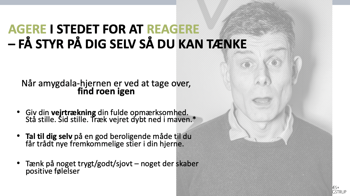 Skærmbillede+2022-10-05+kl.+18.56.53.png