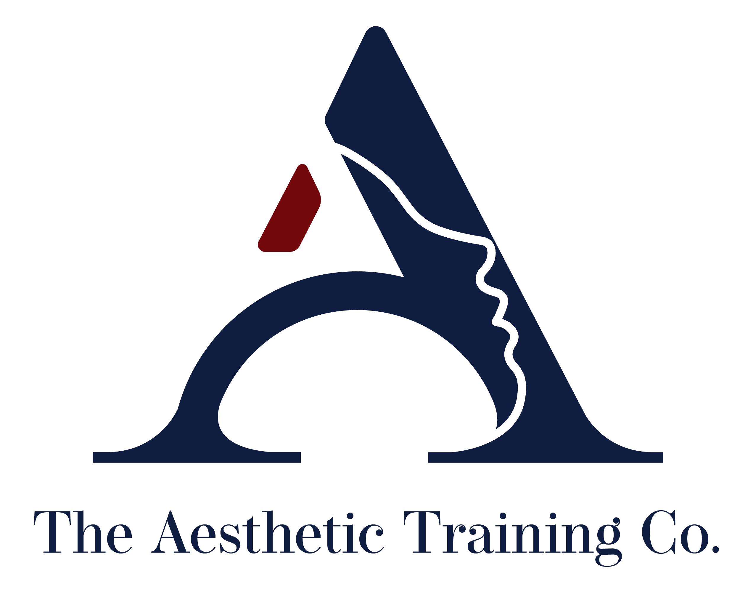 THE Aesthetic training co.