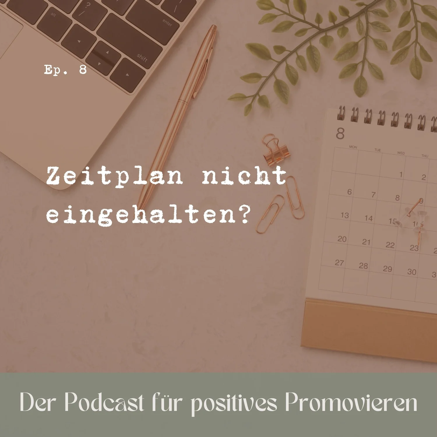 8 - Zeitplan nicht eingehalten? episode artwork