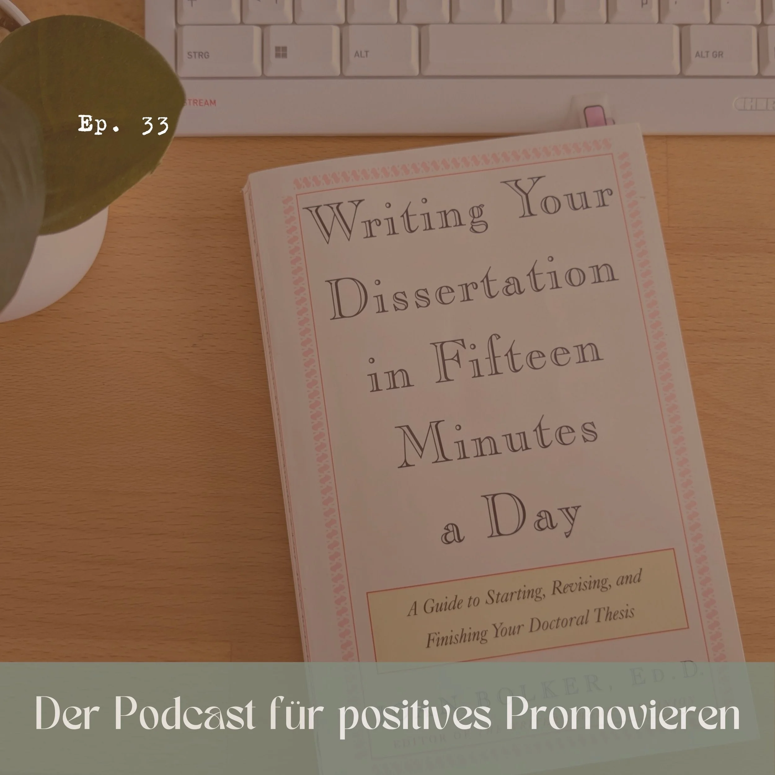 33 - 📚Buchtipp #1: Writing Your Dissertation in Fifteen Minutes a Day (Joan Bolker)