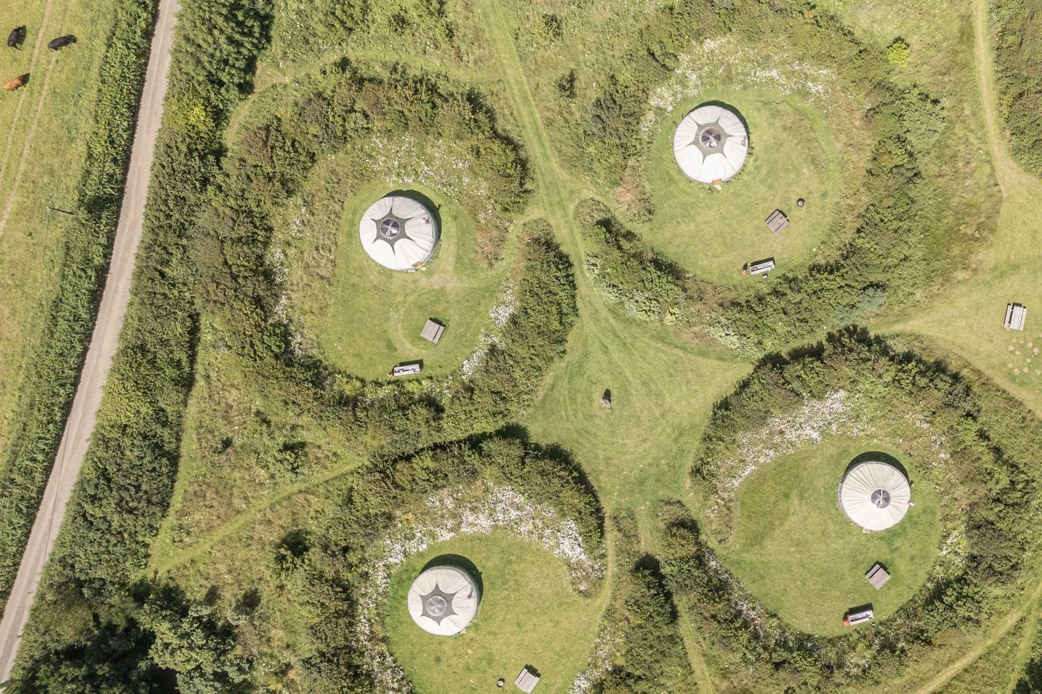 DJI_20260623143151_0030_D.jpg