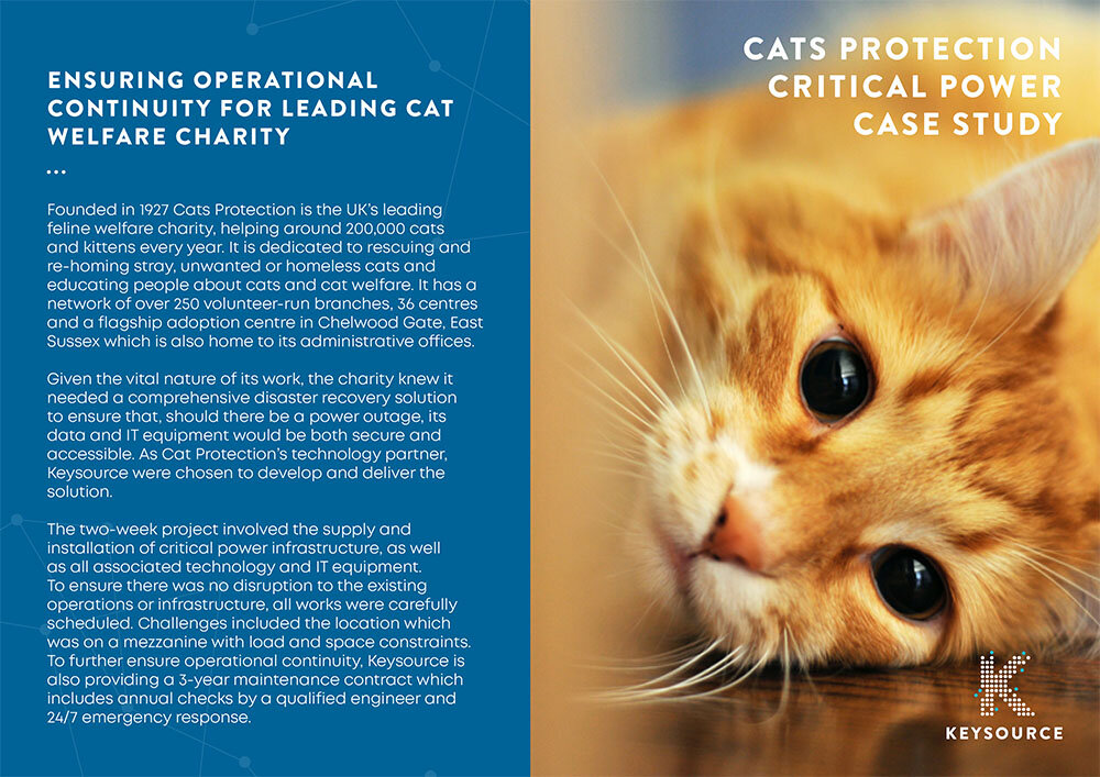 Cats-Protection-Critical-Operations-1.jpg