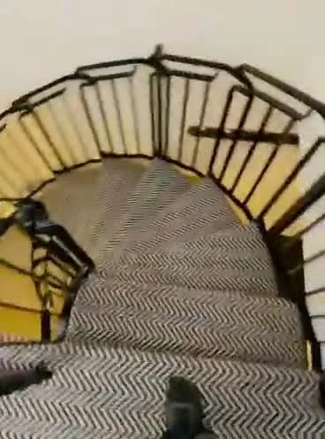 spiral-poster.jpg