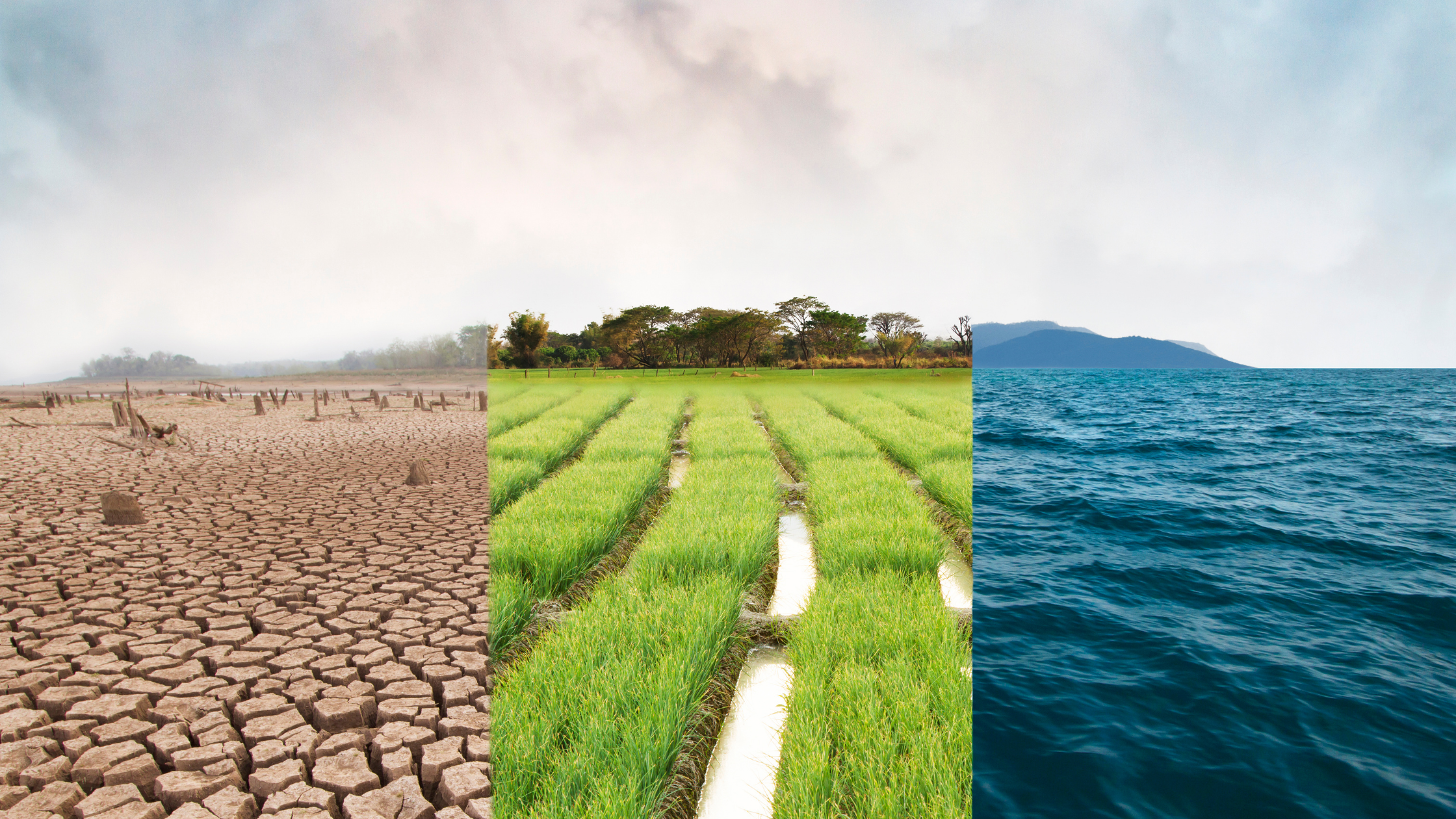 The recent report from the IPCC and SBTi highlights a need for greater commitment to science-based targets.