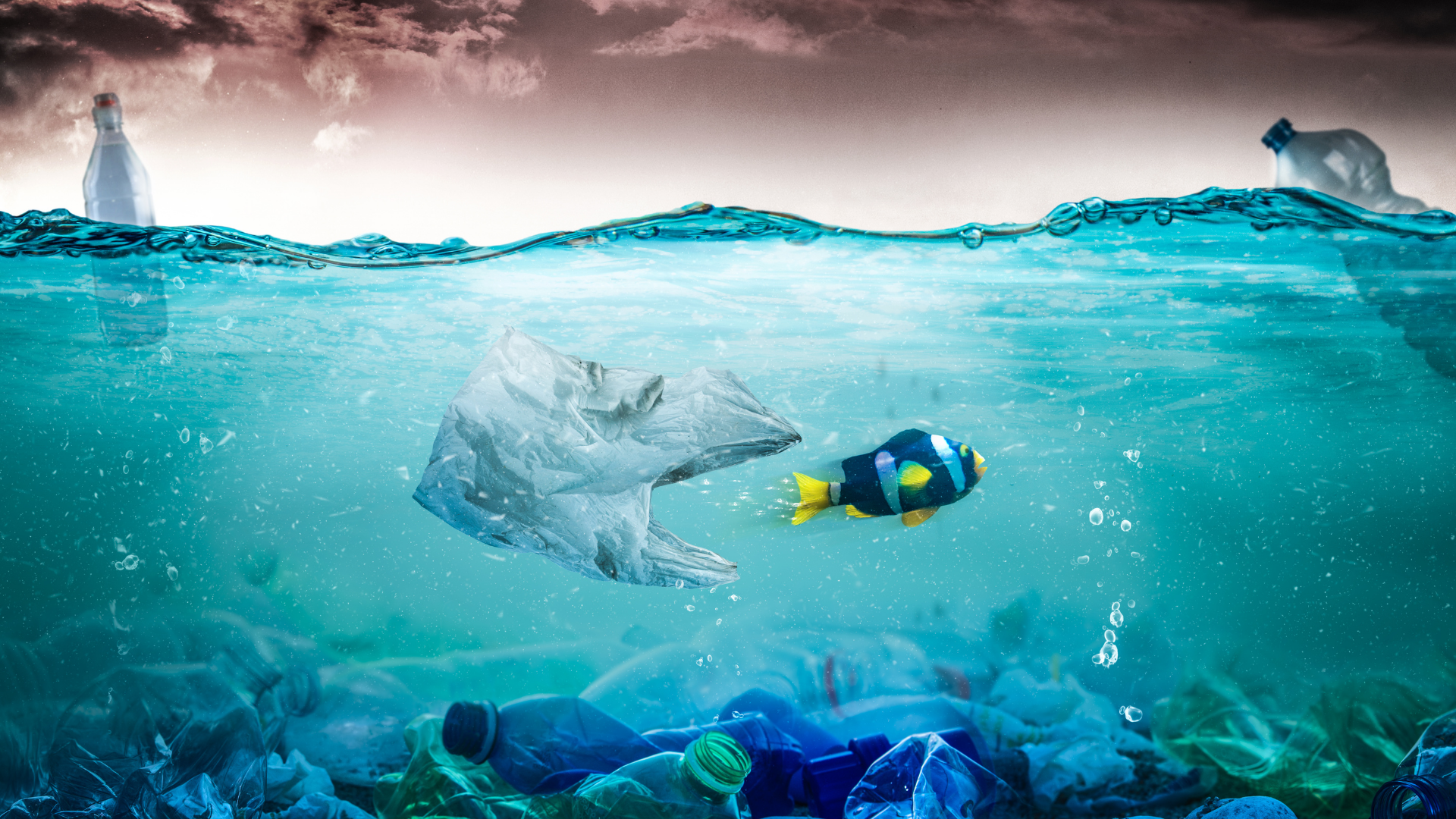 Introducing: The Plastic Packaging Tax