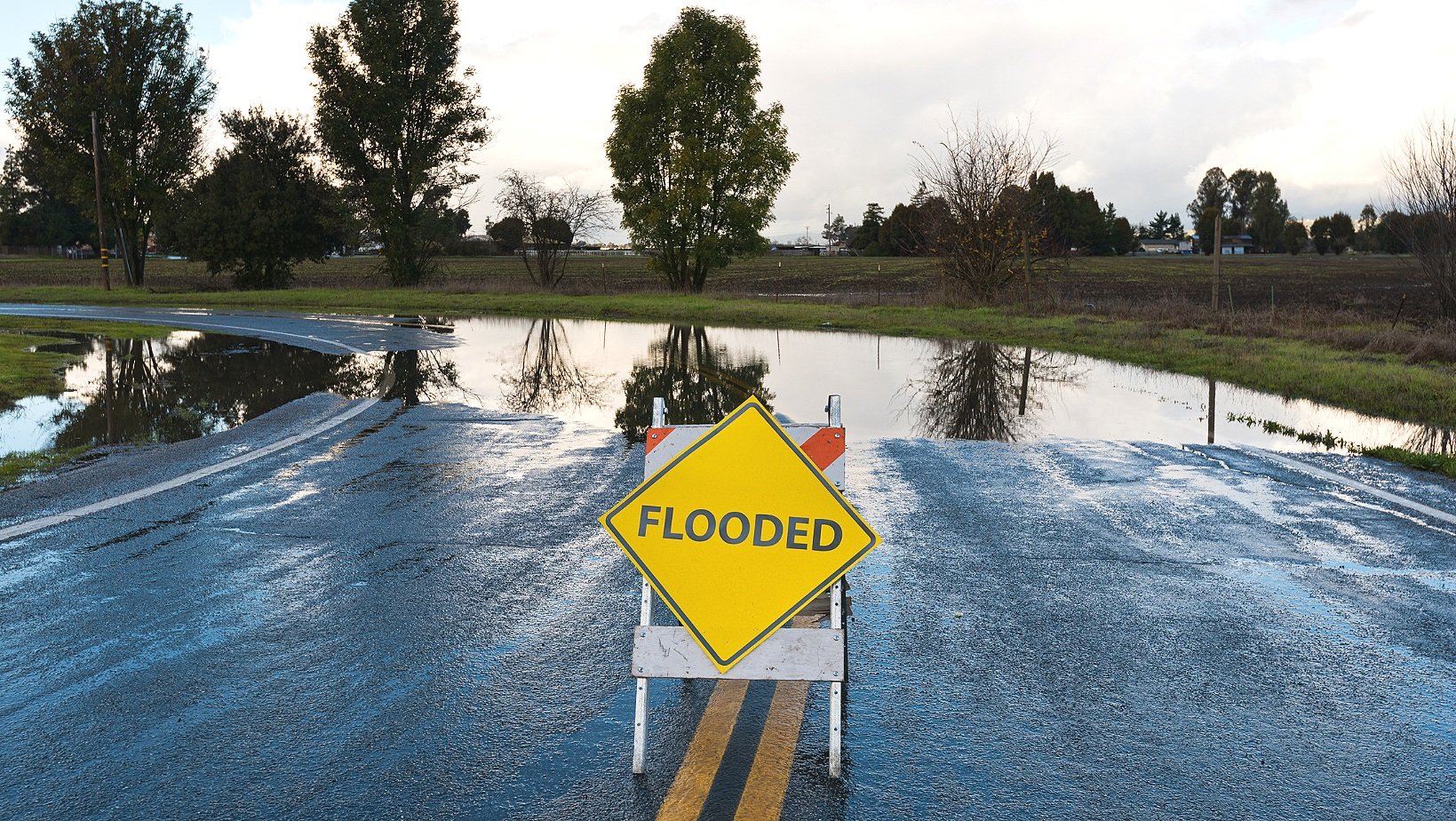 IPCC Report Working Group I: What Role do Businesses Play?