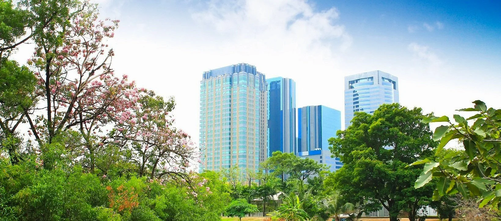 CDP: What has changed since 2021?