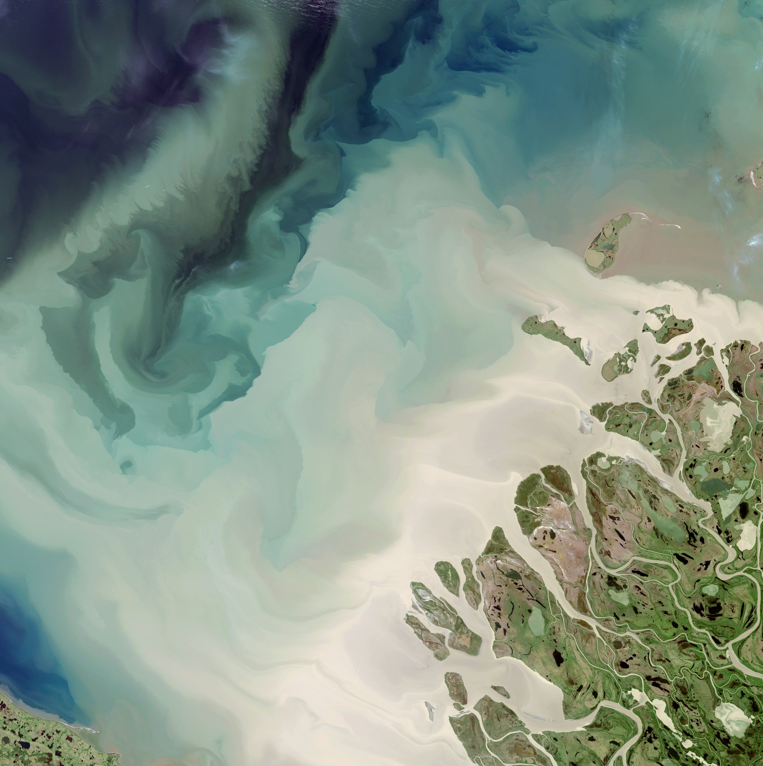 UK SRS S2 Factsheet: Using Climate Disclosure to Build Resilience and Unlock Value