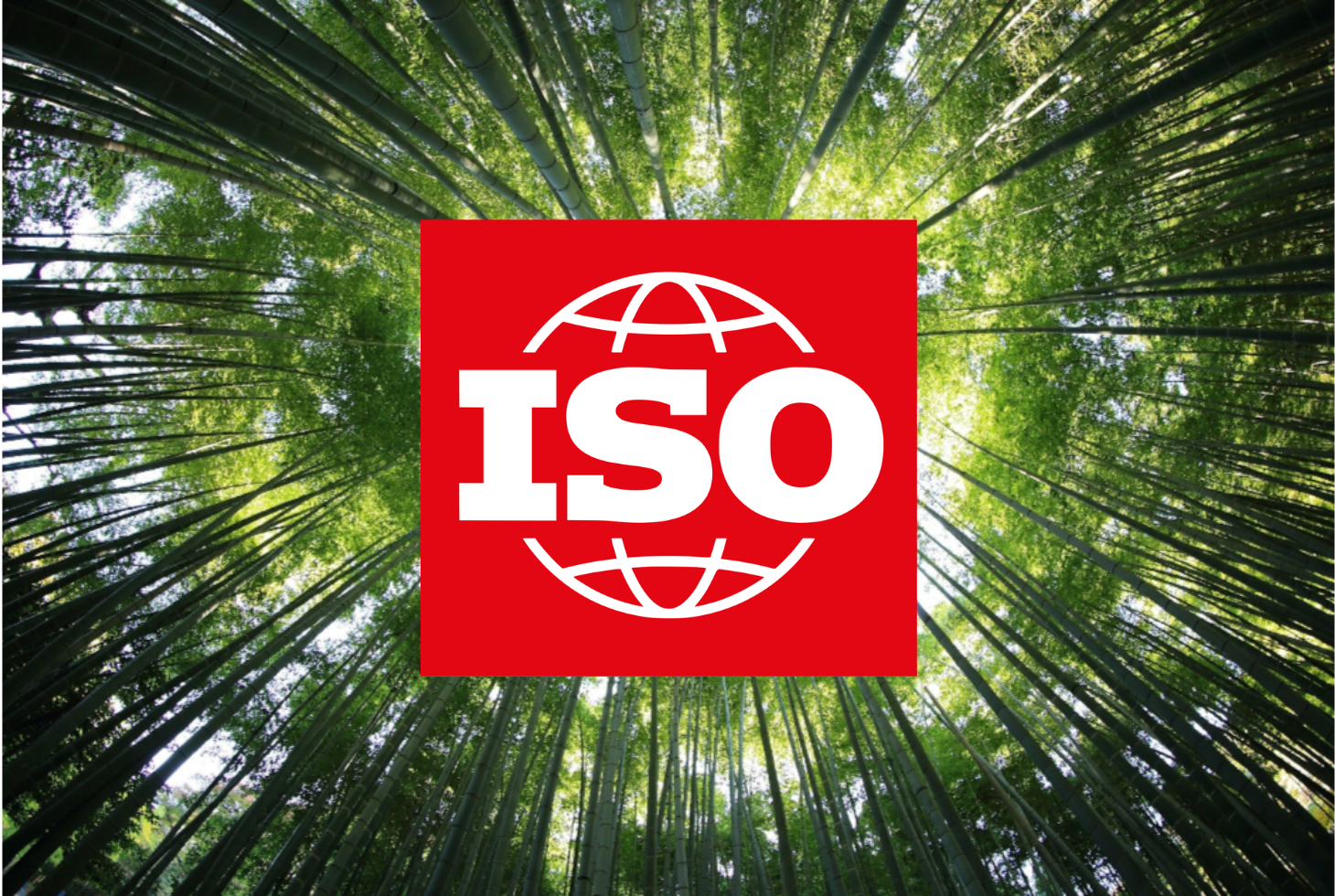ISO 14060: Orbis Advisory's Response to the Draft Net Zero Standard