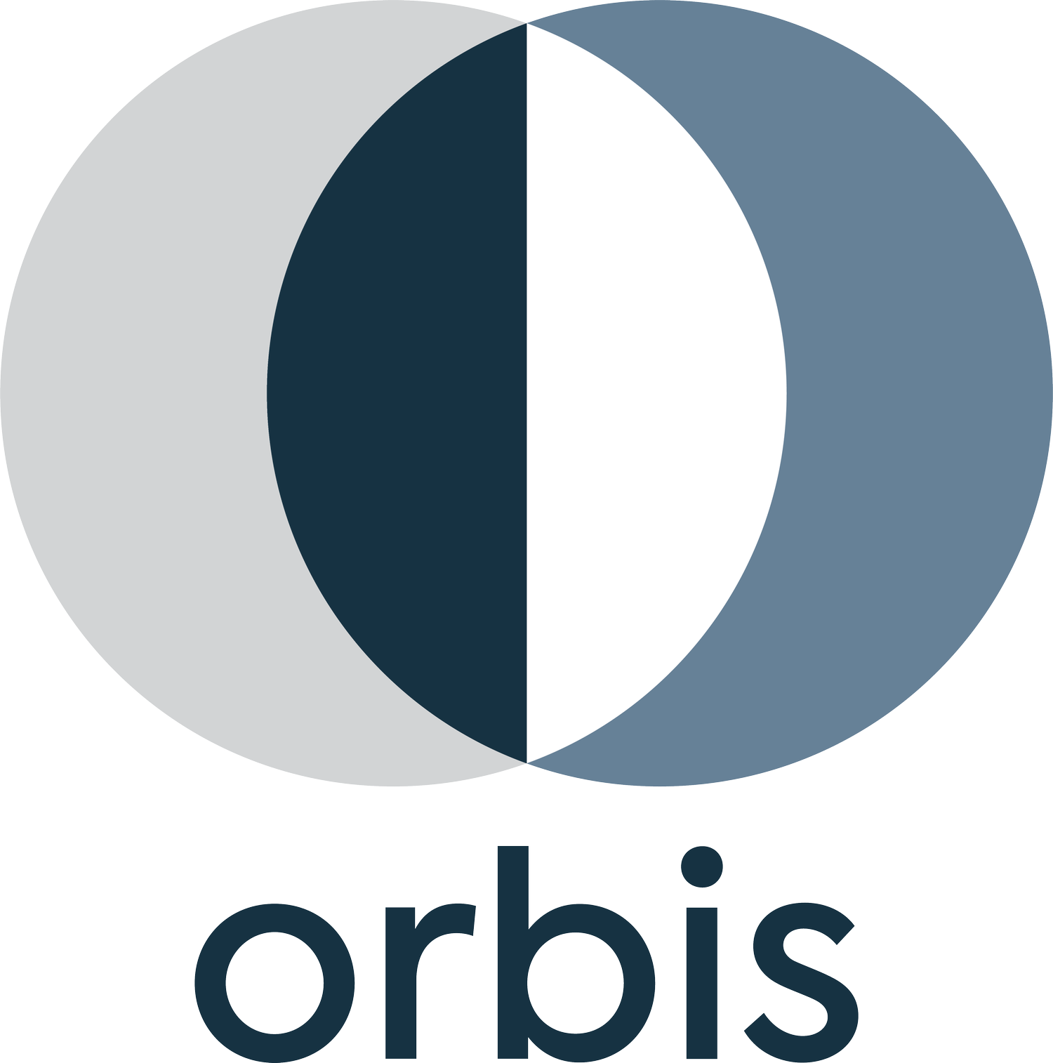 Orbis Advisory | Driving Sustainable Transformation