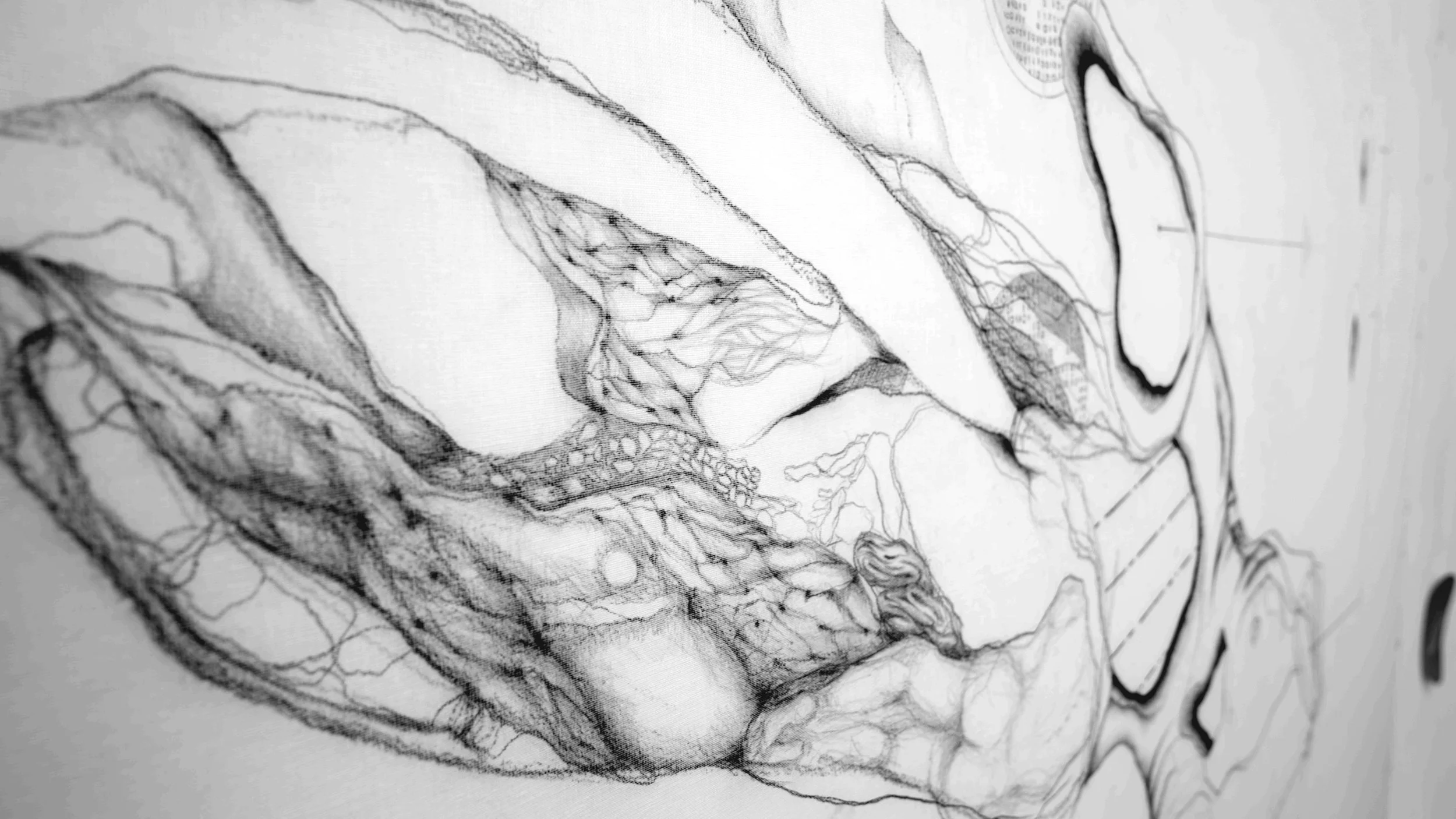 Mary Janssen - doek1w.JPG