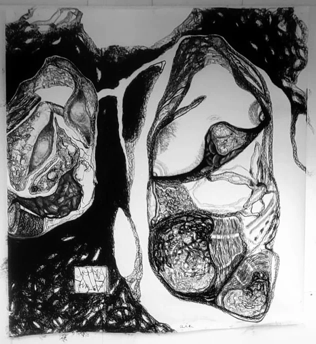 Mary Janssen - AIR houtskool.jpeg