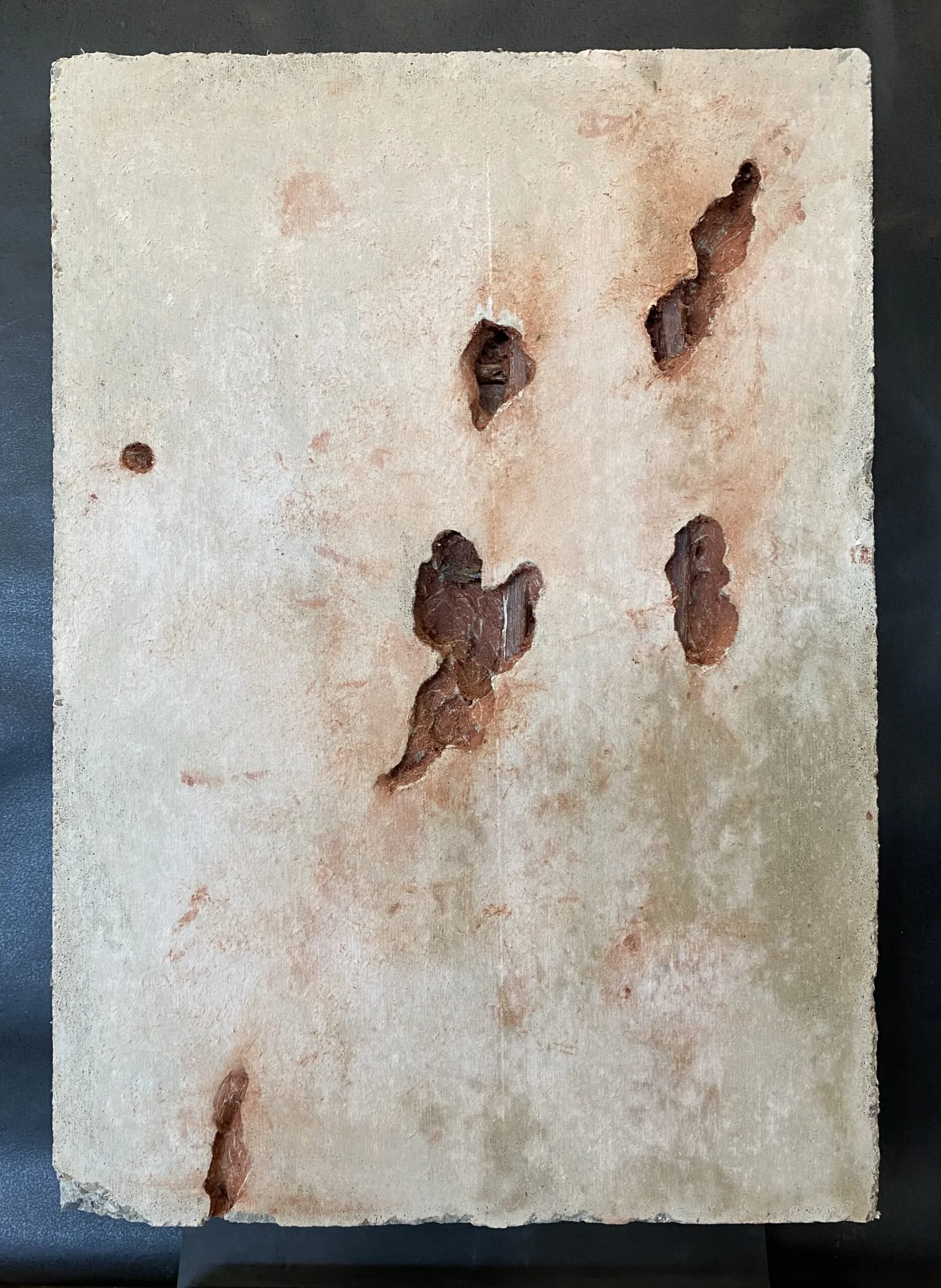 Oscar Riezebos 6.jpeg