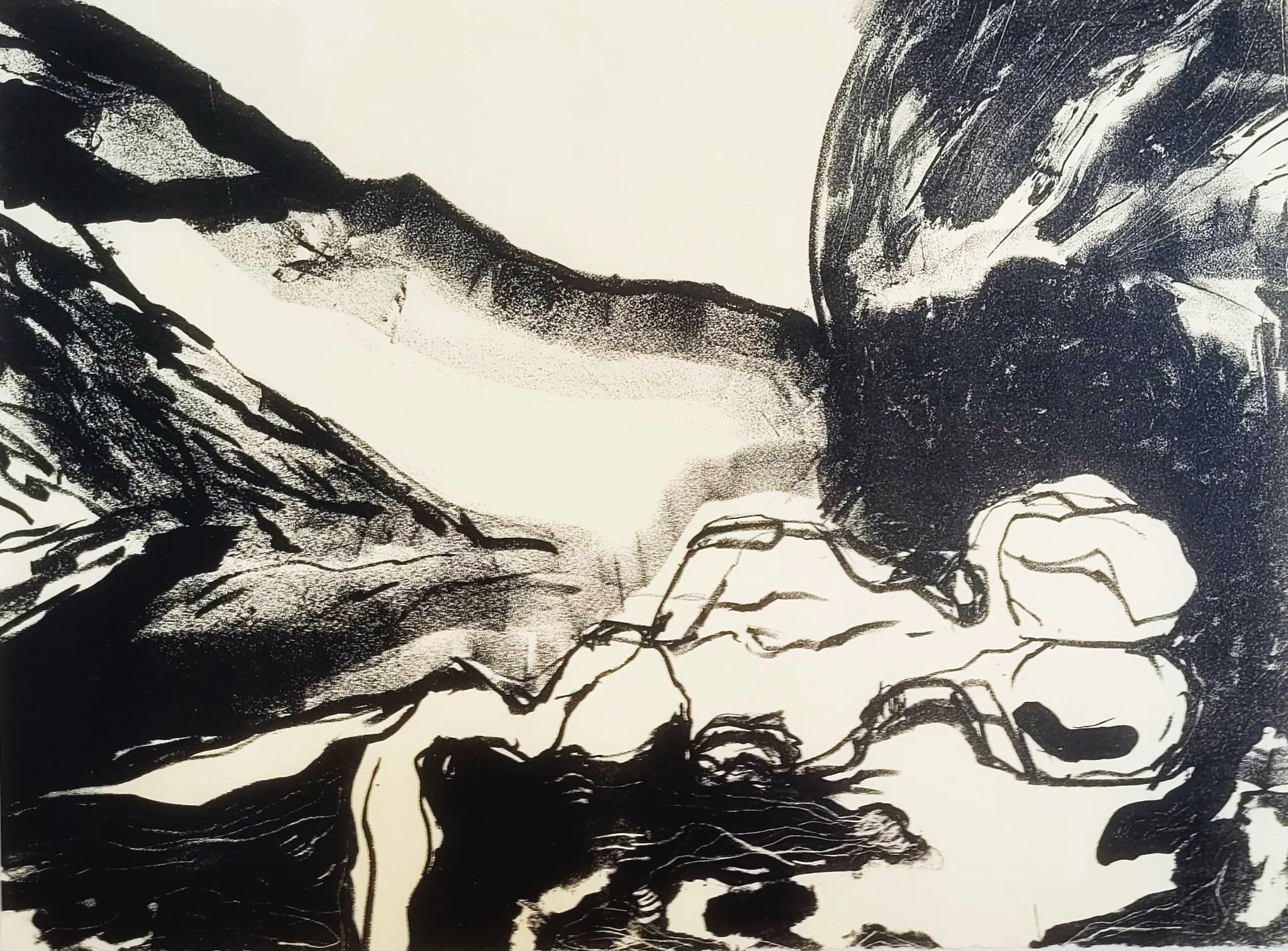 Mary Janssen - litho.jpg