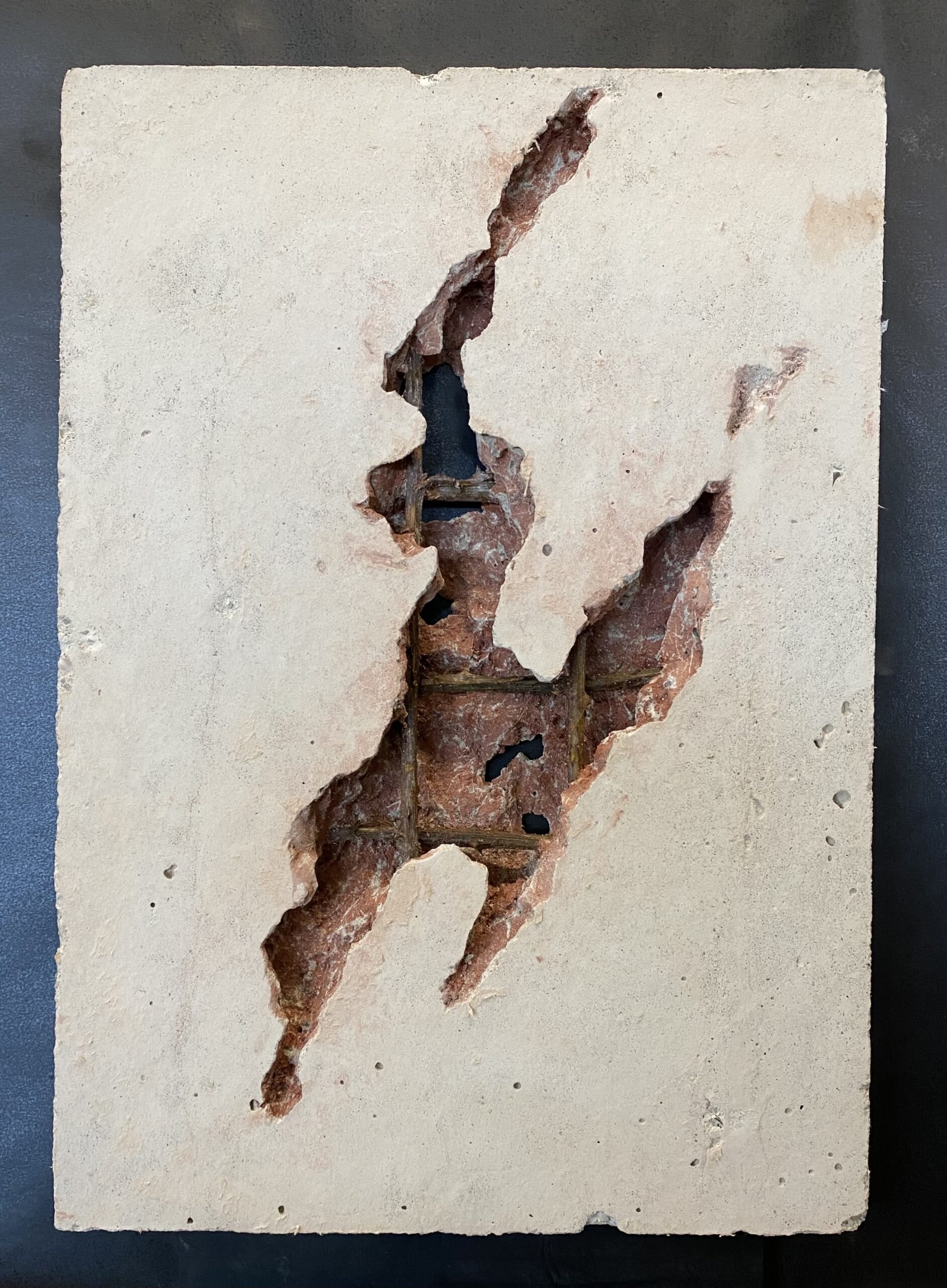 Oscar Riezebos 5.jpeg