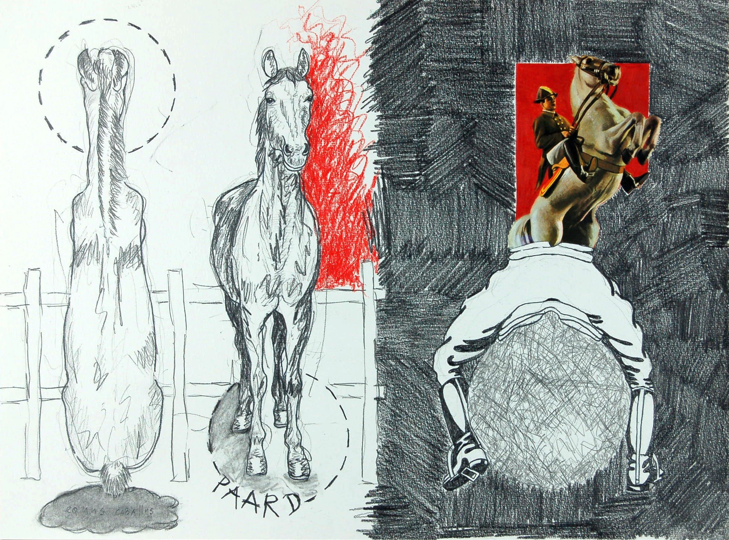 74 paard 72.jpg