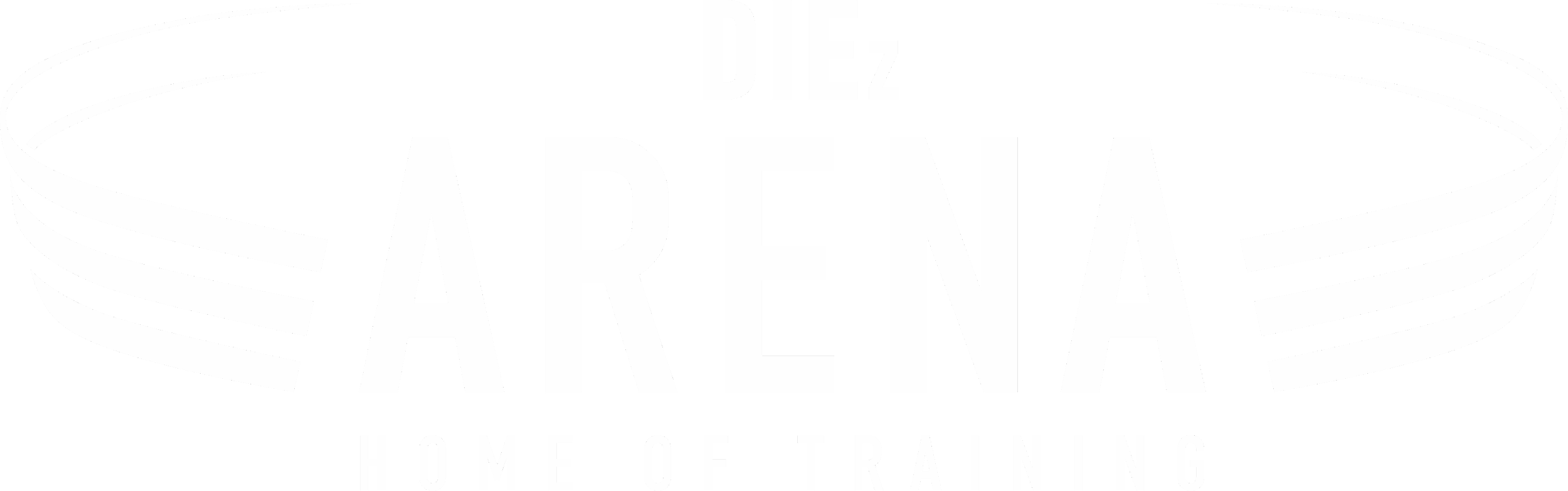 DiezArena_Logo_Weiss.png