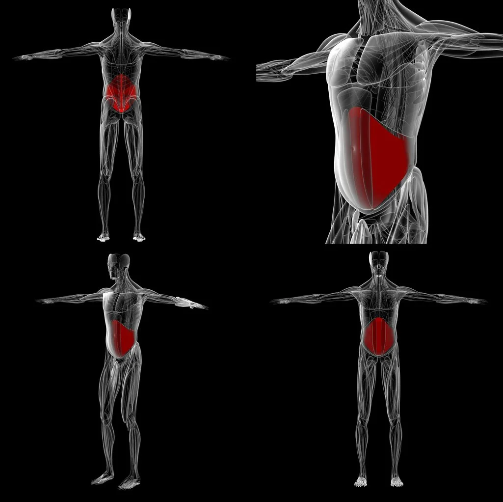 Ta Core Core Stabilization — Movement Matters Physical Therapy