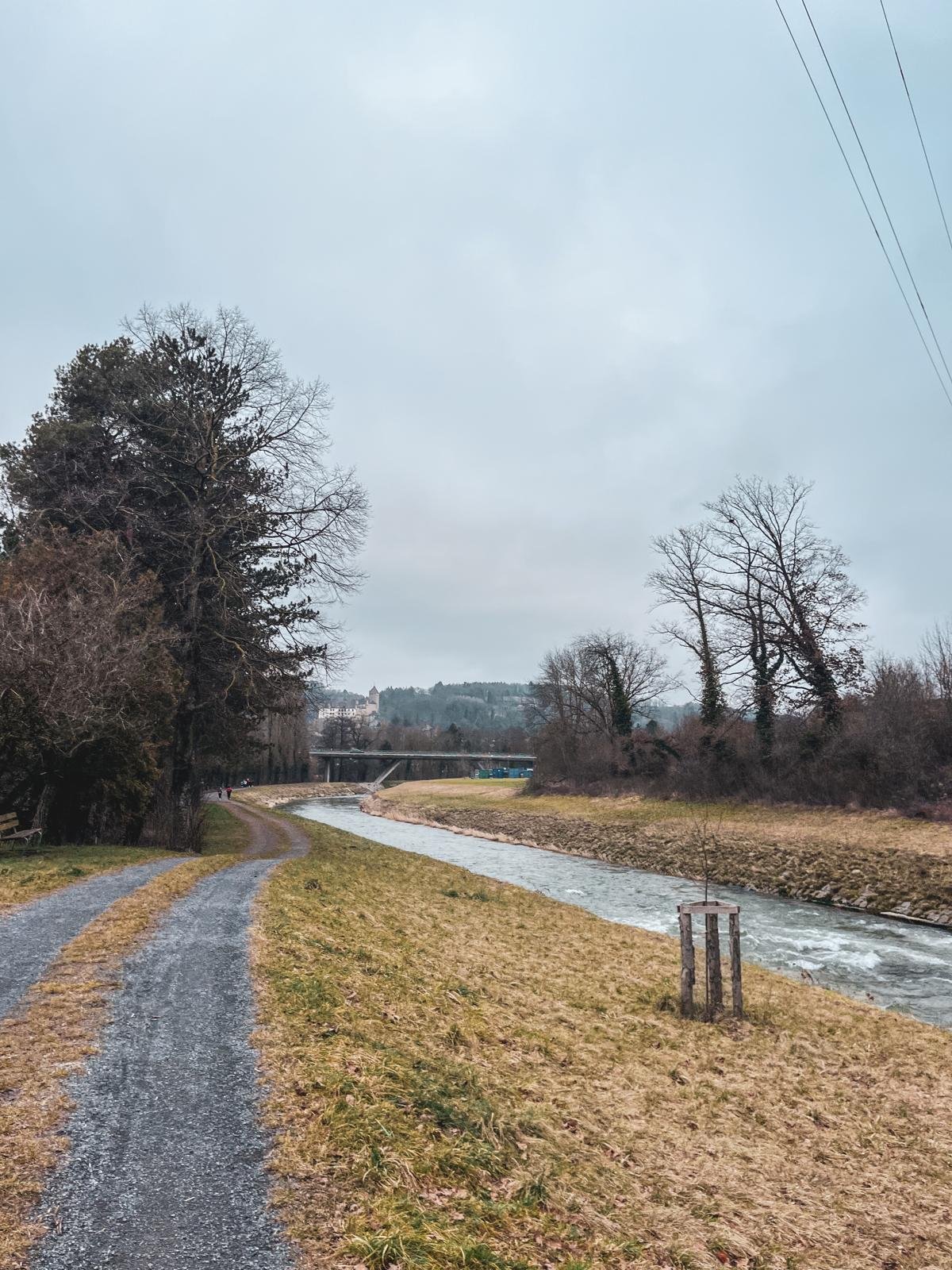 Week 4 – Strength, Hills & Thresholds