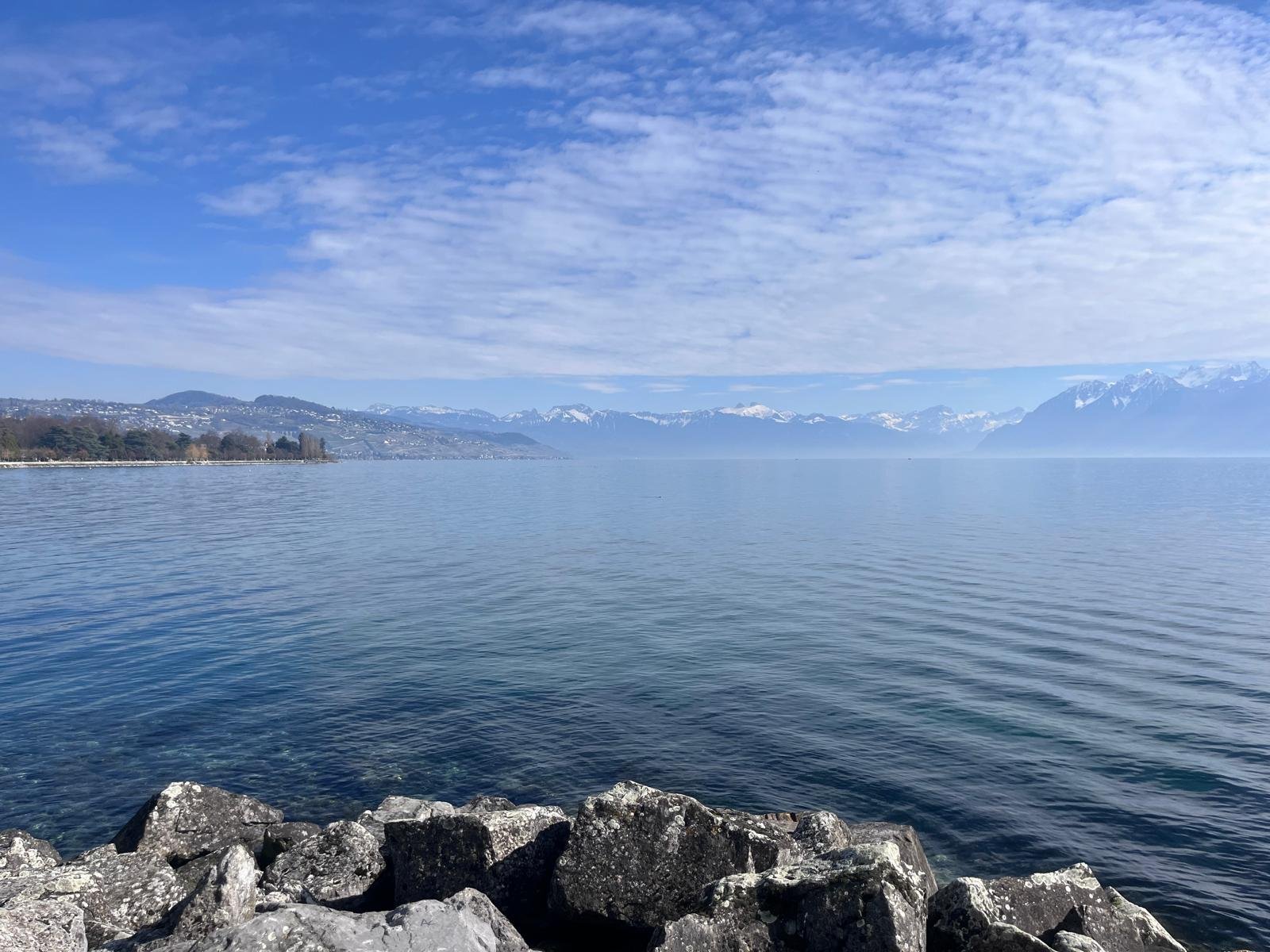 Week 9 – Speed, Endurance & a New Half Marathon PR!