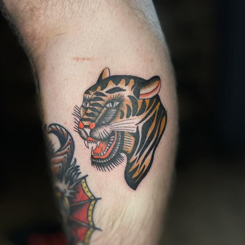 Bert Grimm tiger by @gfoxtattoos 
Appointment only tattoo studio, Newcastle under Lyme, Staffordshire.
DM for enquiries and bookings.
Thanks for looking.
.
.
.
.
.
.
.
.
.

#tattoo #traditionaltattoo #radtrad #tradworkers #colourtattoo #linework #ukt