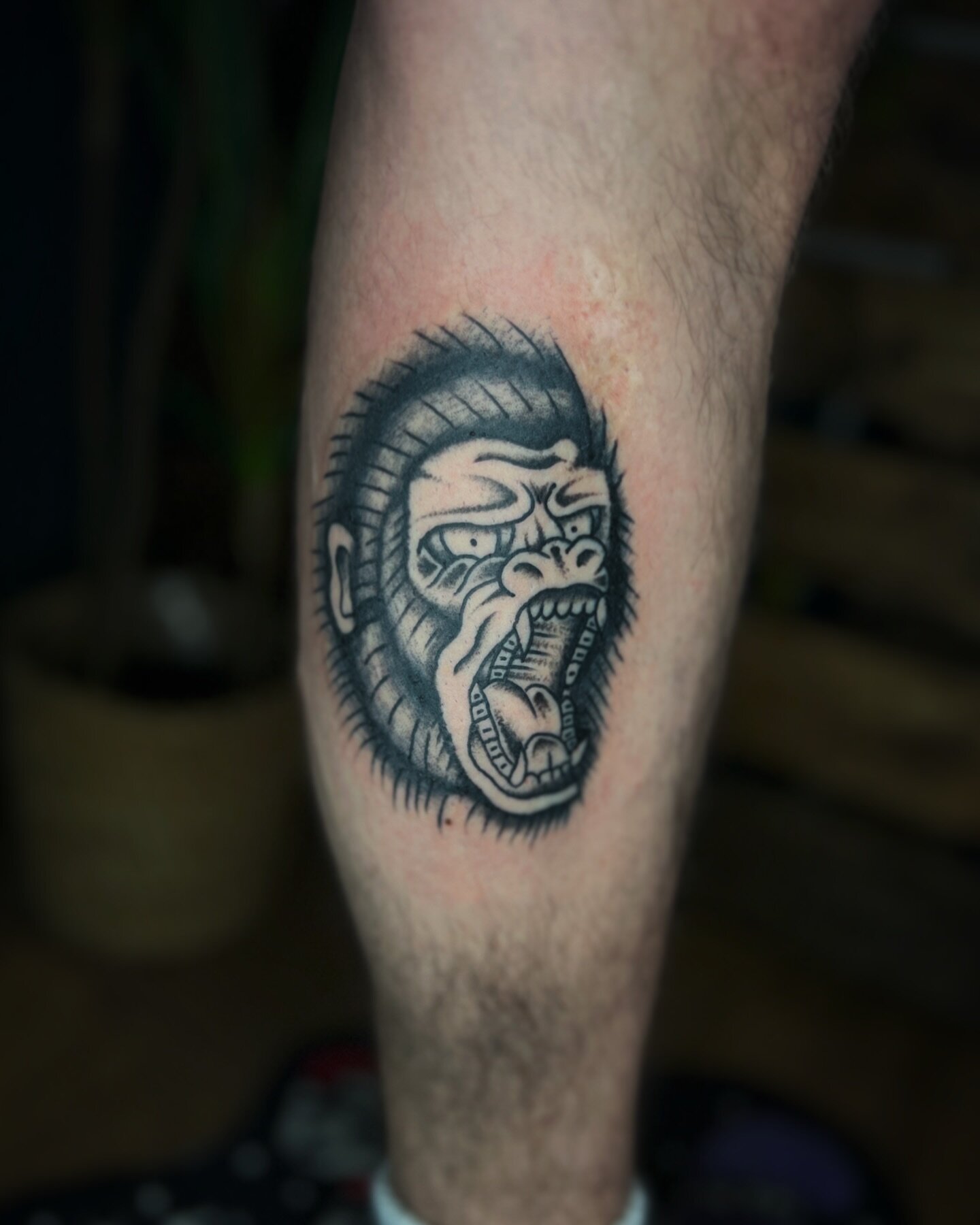 Traditional 🦍 Gorilla from the other day. 
-
-
-
-
-
-
-
-
-
-
-
#gorilla #gorillatattoo #traditionaltattoos #traditionaltattoo #traditionaltattooartist #oldschooltattoos #oldlines #boldwillhold #staffordshire #stokeontrent #newcastleunderlyme #keel