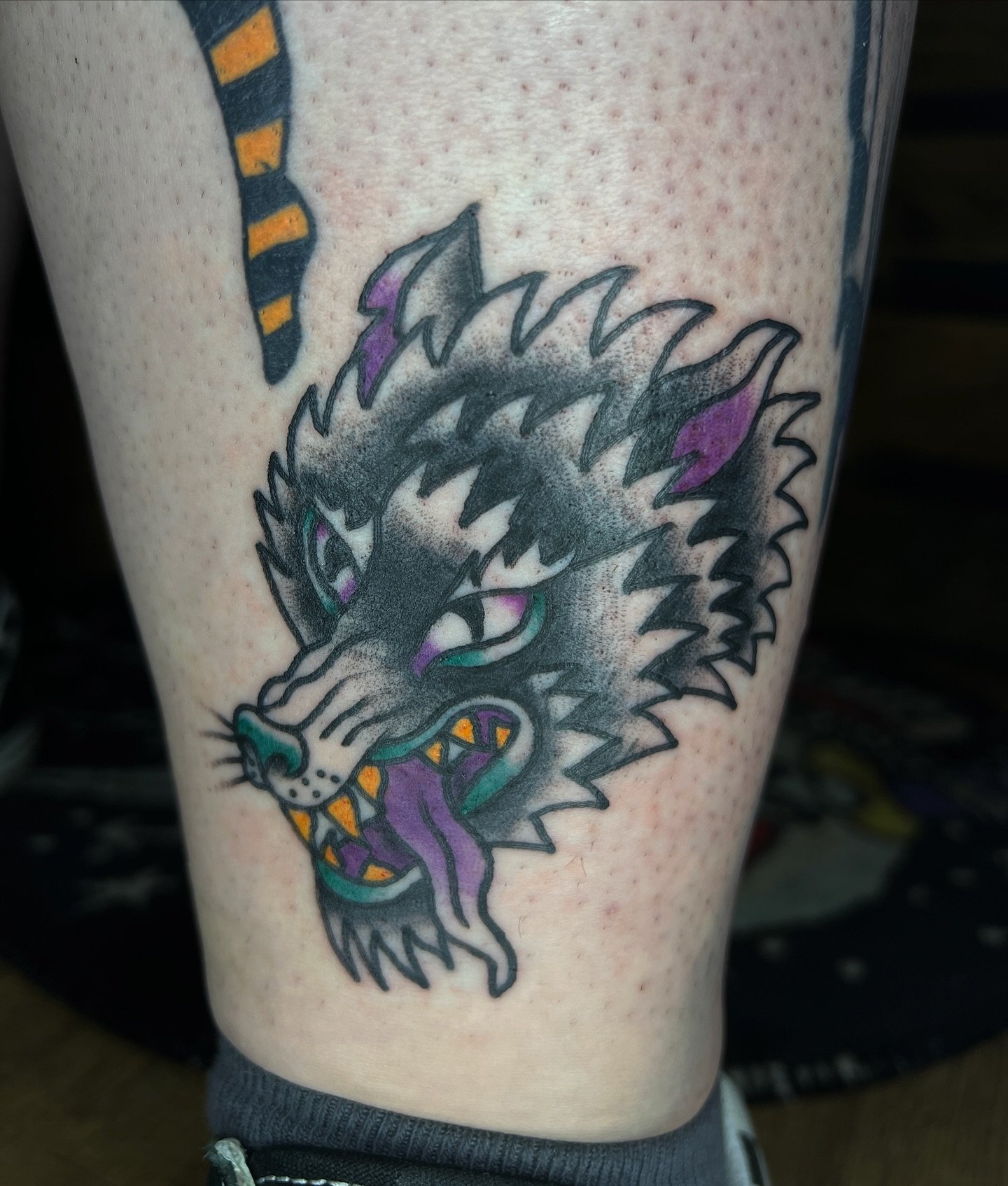 Traditional wolf tattoo from my flash. 
-
-
-
-
-
-
-
-
-
-
-
-
-
#wolftattoo #traditionalwolftattoo #oldschooltattoo #traditionaltattoos #traditionaltattoo #brightandbold #realtraditional #tradworkers #bright_and_bold #traditionaltattooing #traditio