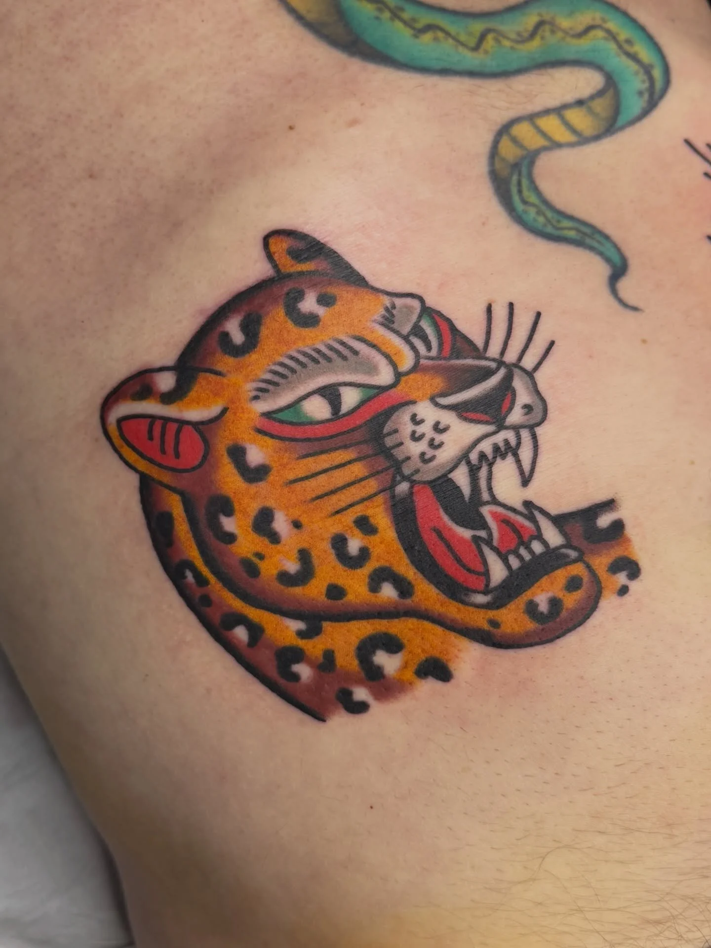 Couple of big cats for Anthony, thanks man! I have a few spaces dotted about March and also booking April, hmu if you wanna get out! Cheers ⚔️
.
.
.
.
.
#traditionaltattoo #tradtattoo #tattooflash #traditionalleopardtattoo #traditionaltigertattoo