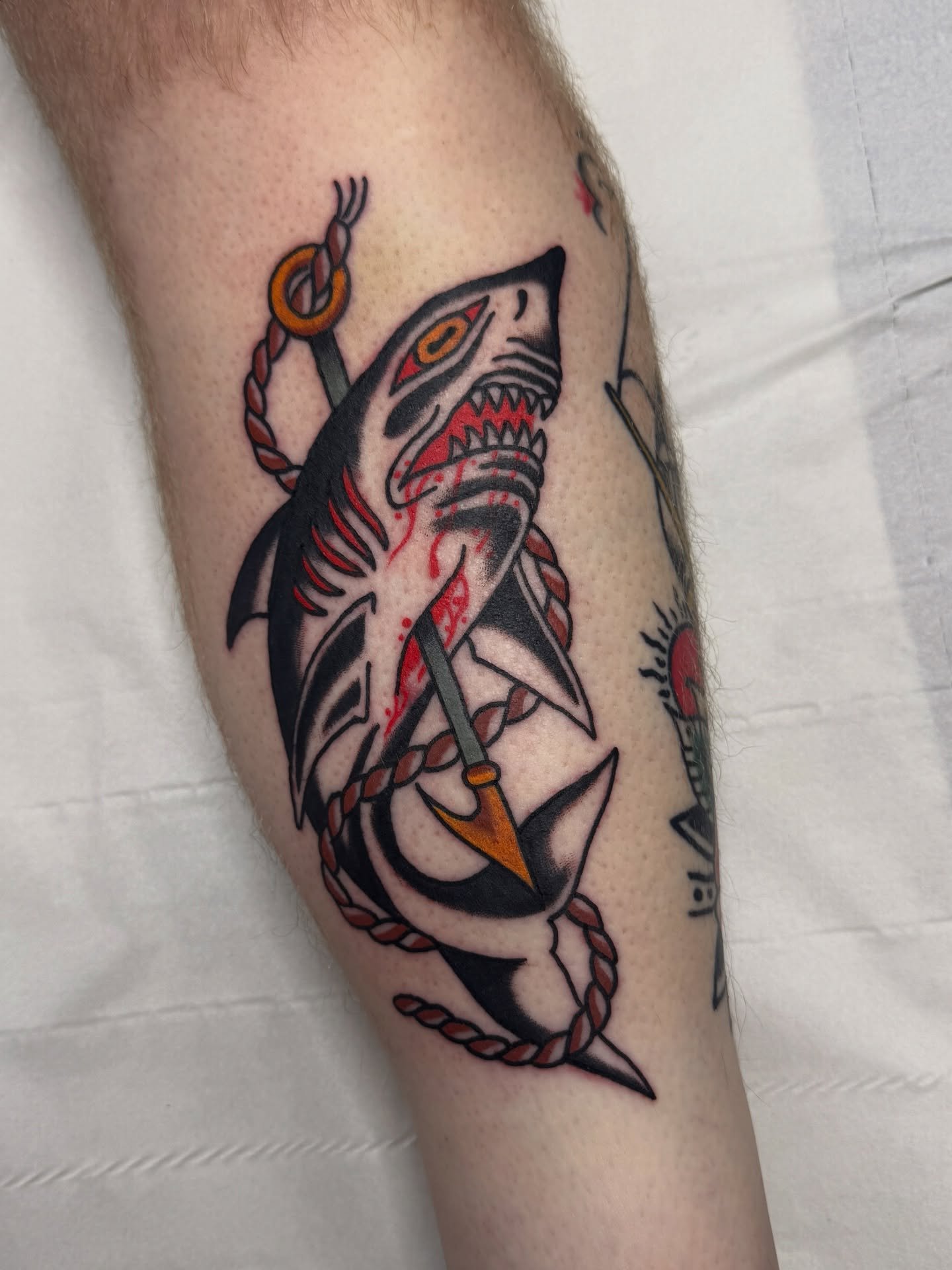 Some sharks by @kylecartlidgetattoo would love to do more knarley creatures of the sea! Swordfish, orcha, narwhal, tiger shark etc..
Dm to book.
.
.
.
#traditionaltattoo #sraffordshiretattoo #staffordshire #uktattoo #newcastleunderlyme #keele #keeleu