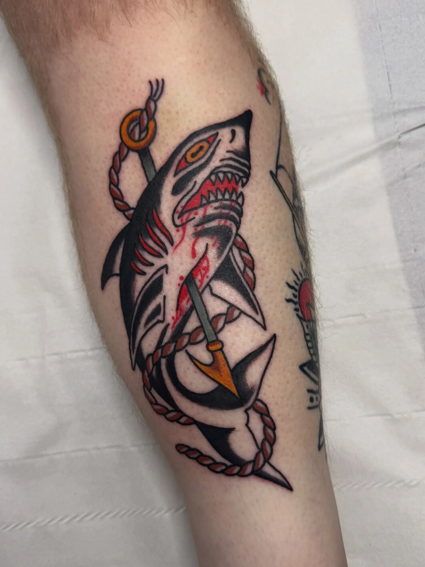 Some sharks by @kylecartlidgetattoo would love to do more knarley creatures of the sea! Swordfish, orcha, narwhal, tiger shark etc..
Dm to book.
.
.
.
#traditionaltattoo #sraffordshiretattoo #staffordshire #uktattoo #newcastleunderlyme #keele #keeleu