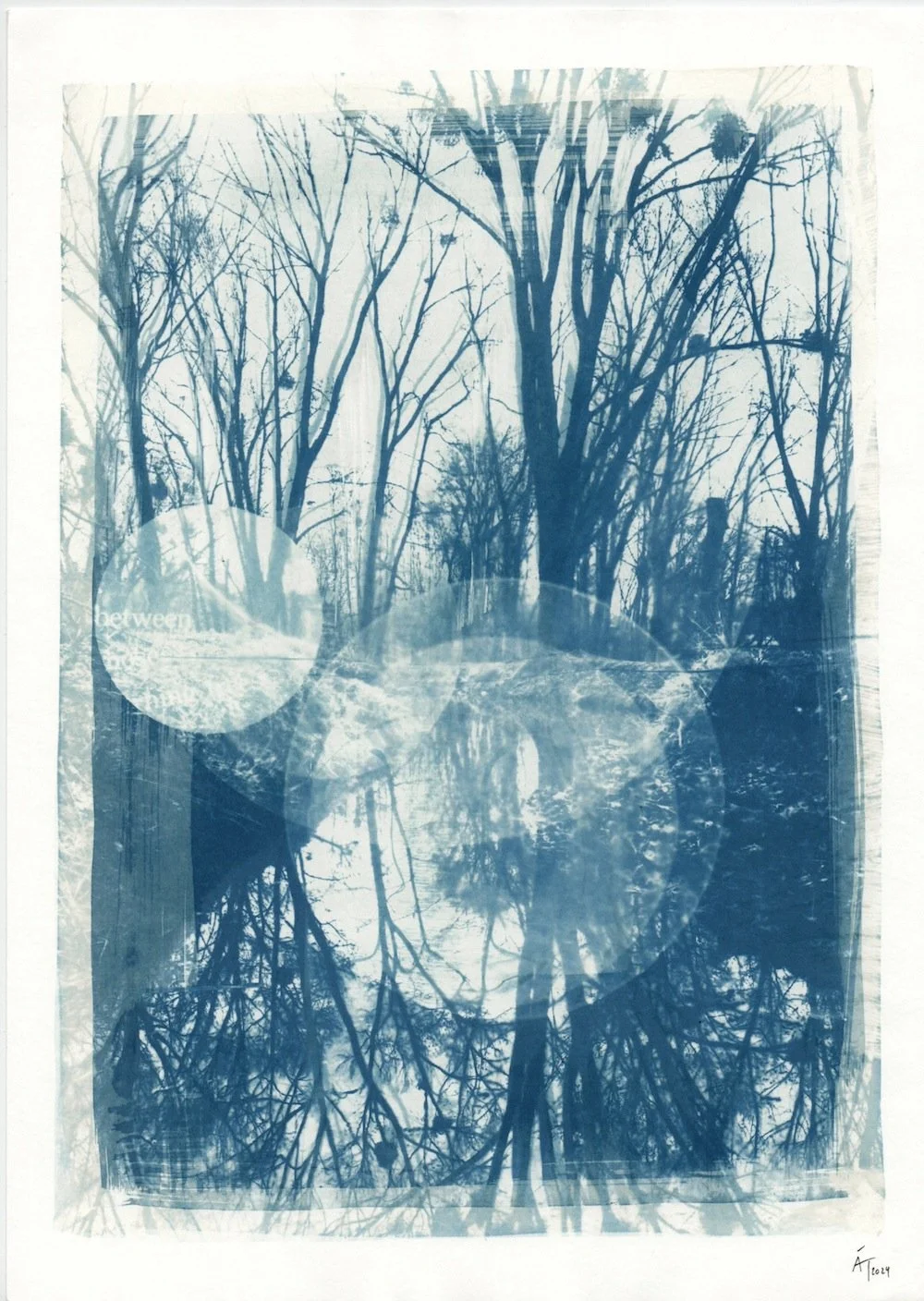 Between those morning trees (A4), 2024, SOLD