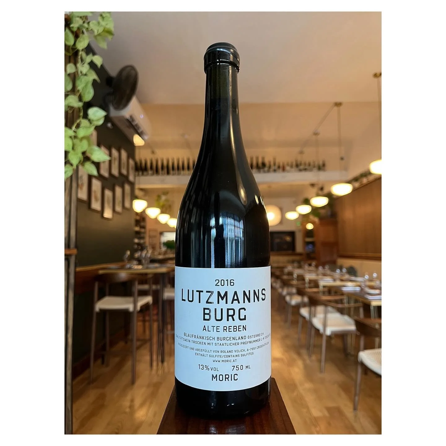 2016 Moric &lsquo;Lutzmannsburg Alte Reben&rsquo; &mdash; old vines speaking loud. 🍷
From Moric, the brainchild of Roland Velich, Falstaff&rsquo;s 2023 Winemaker of the Year, this wine is what Blaufr&auml;nkisch dreams are made of.
Dark ruby in the 