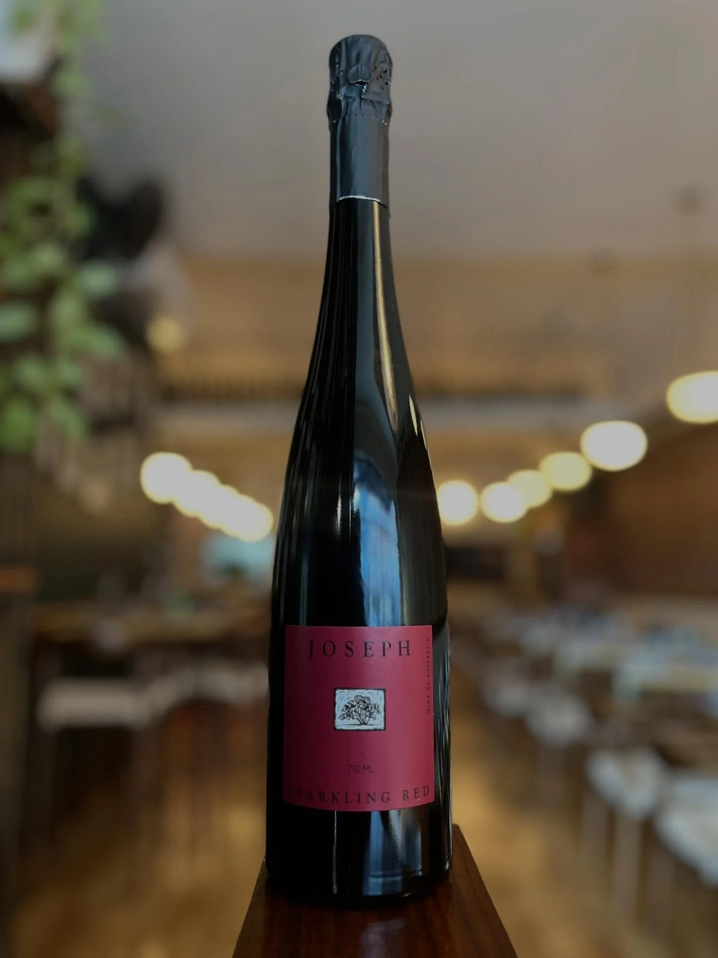 May this be the fanciest bottle of wine you could procure for Christmas?

Joseph Sparkling Red
An Australian icon made with museum vintages dating back to the 60&rsquo;s. This is the history of Australian wine in a bottle.
Primo handcrafts the Sparkl