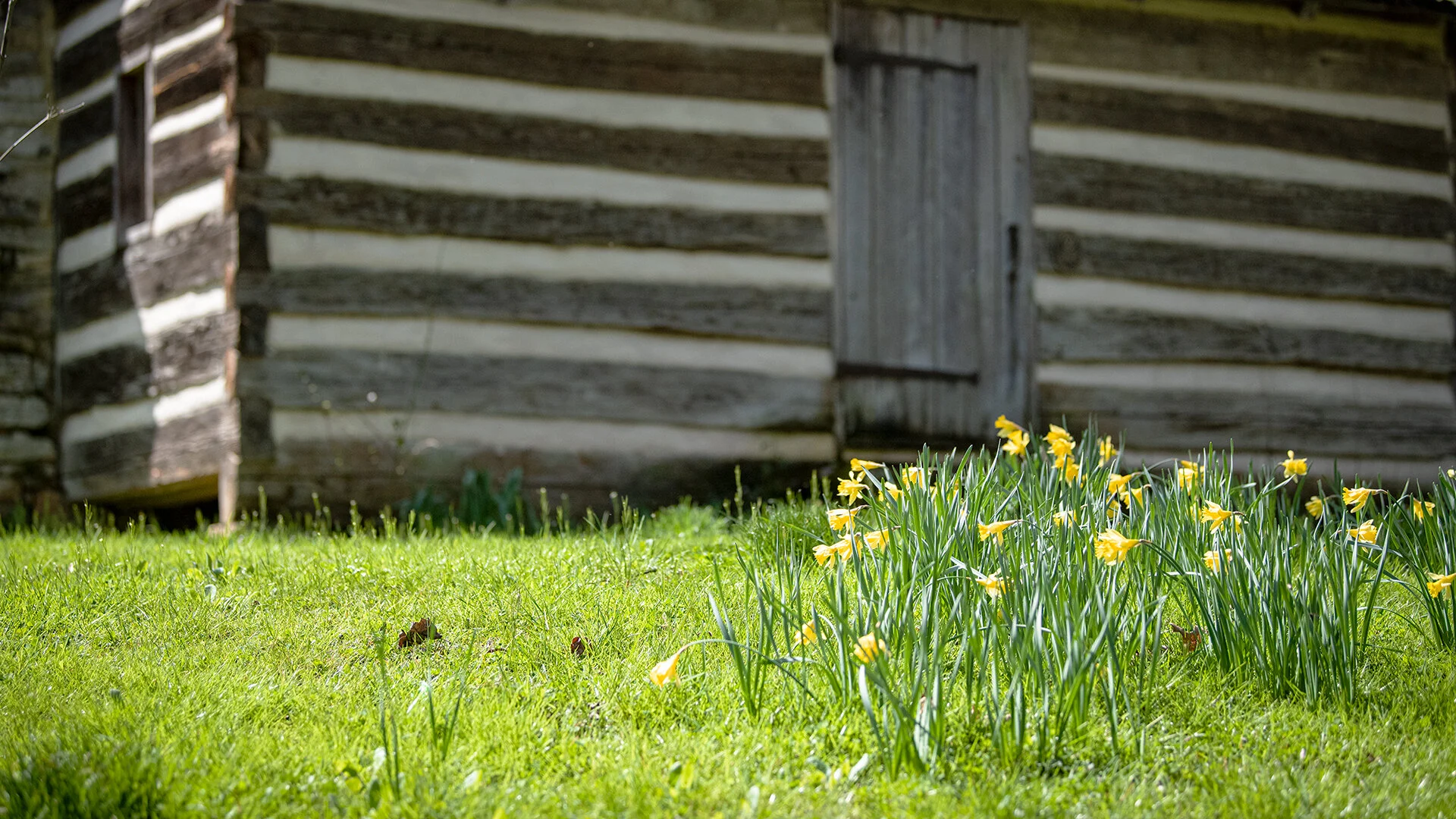 Calendar — Sam Houston Historic Schoolhouse