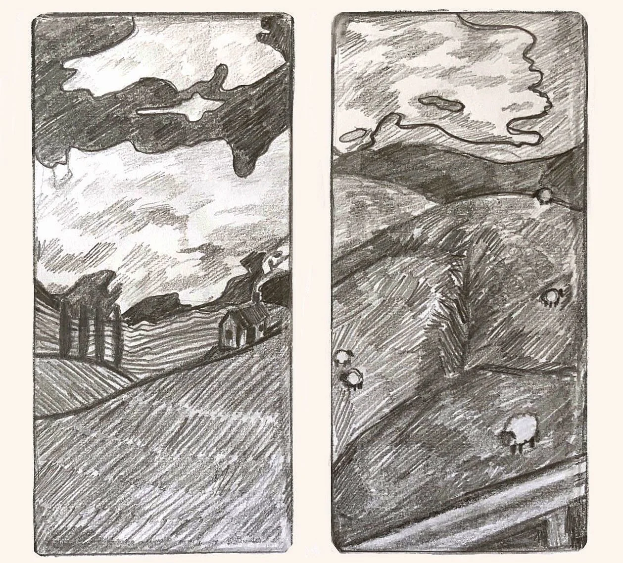 Some little graphite drawings based off some photos I took in New Zealand 🌿✨