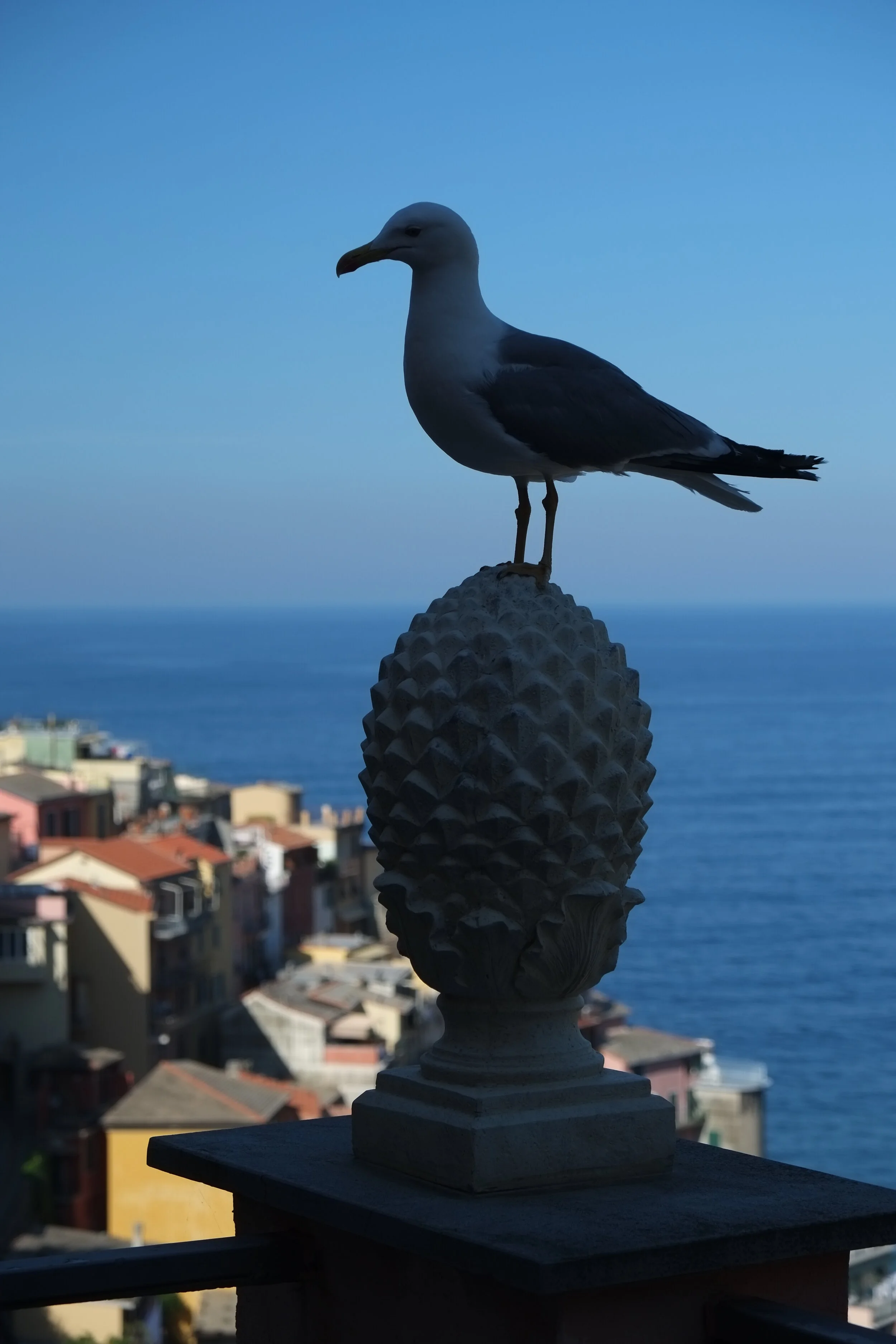 Manarola, 2013