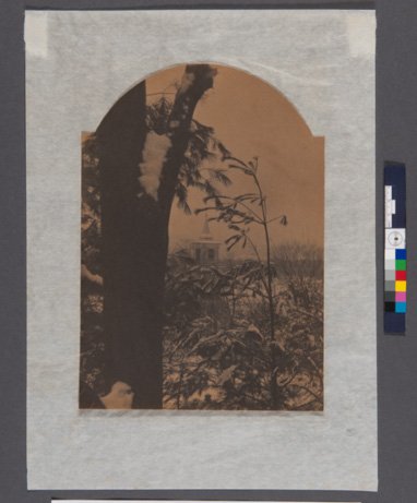 Picture3 copy.jpg