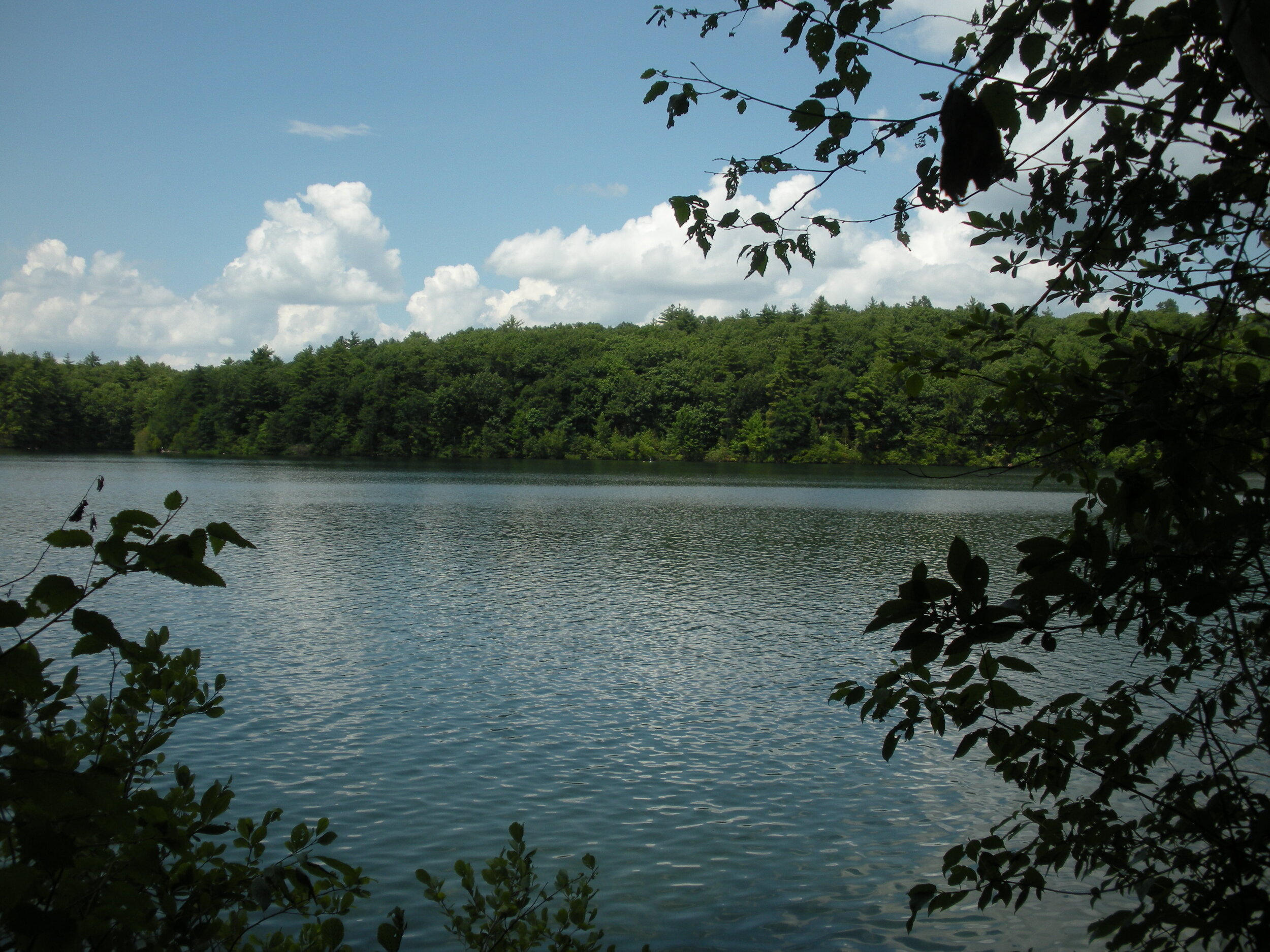 Walden Pond, 2010