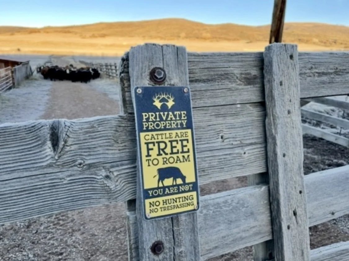 Close-up of a wooden gate with a sign that reads 'Private Property, Cattle Are Free to Roam, You Are Not, No Hunting No Trespassing'; cattle are visible on a dirt farm road, with rolling hills in the background.