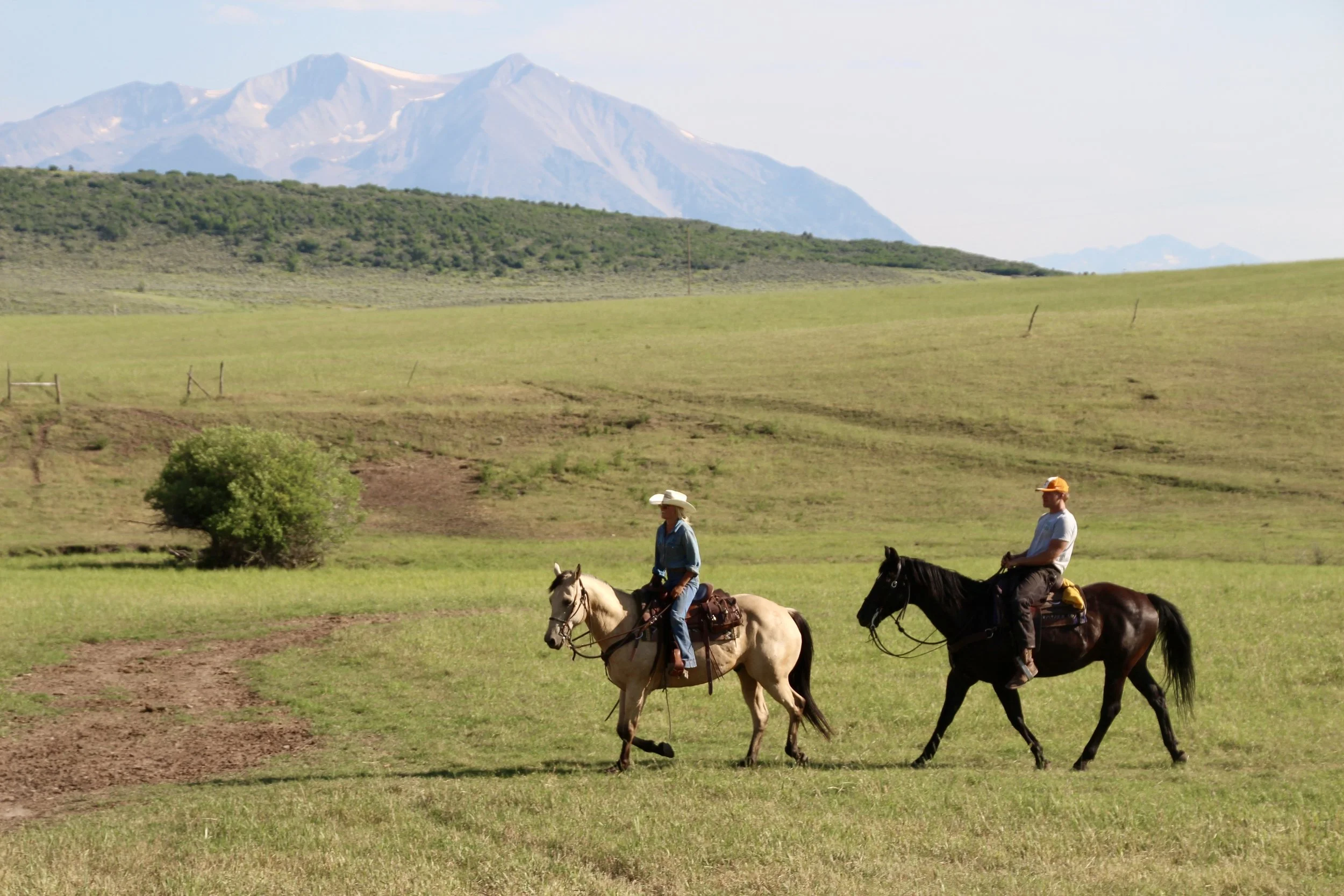 Two people riding horses across a grassy field with mountains in the background.