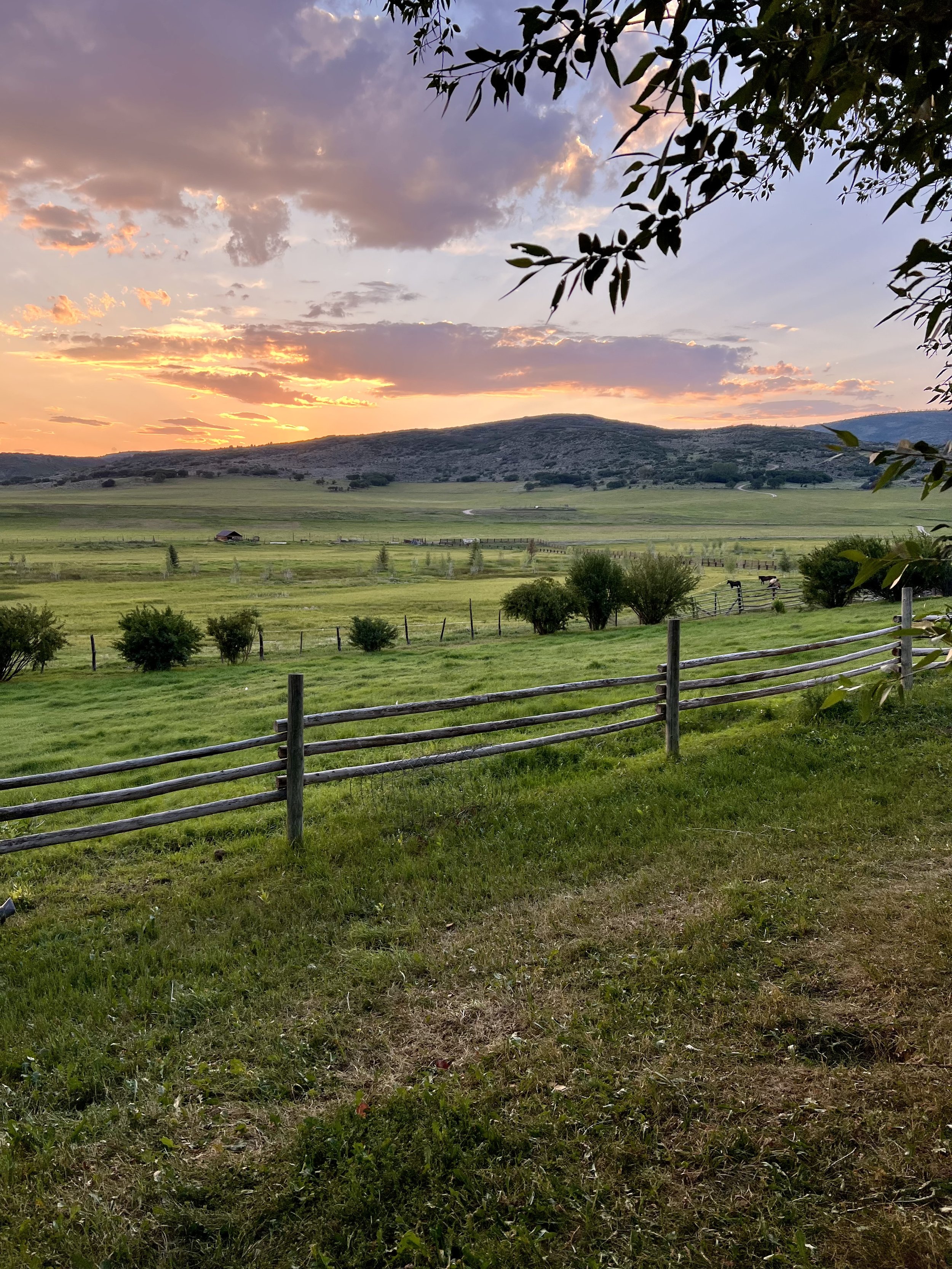 A scenic rural landscape during sunset with green fields, a wooden fence in the foreground, trees, grazing horses, and a mountain with a partly cloudy sky illuminated by the setting sun.